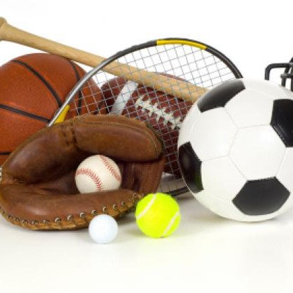 Dear Bowmore Community,

A BIG thank you to all the families that donated gently used sporting goods for our DPA (Daily Physical Activity) Bag Drive earlier this Spring! Thanks to your generosity (and Spring cleaning!), we were able to cut our financ