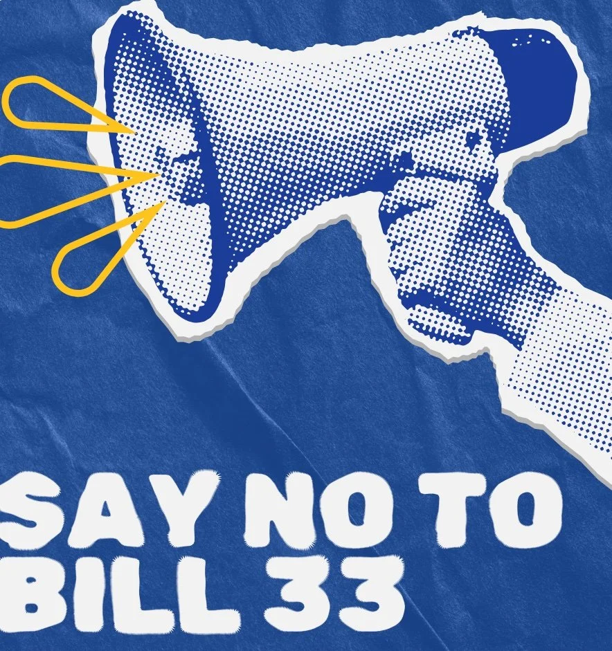 Information on Bill 33