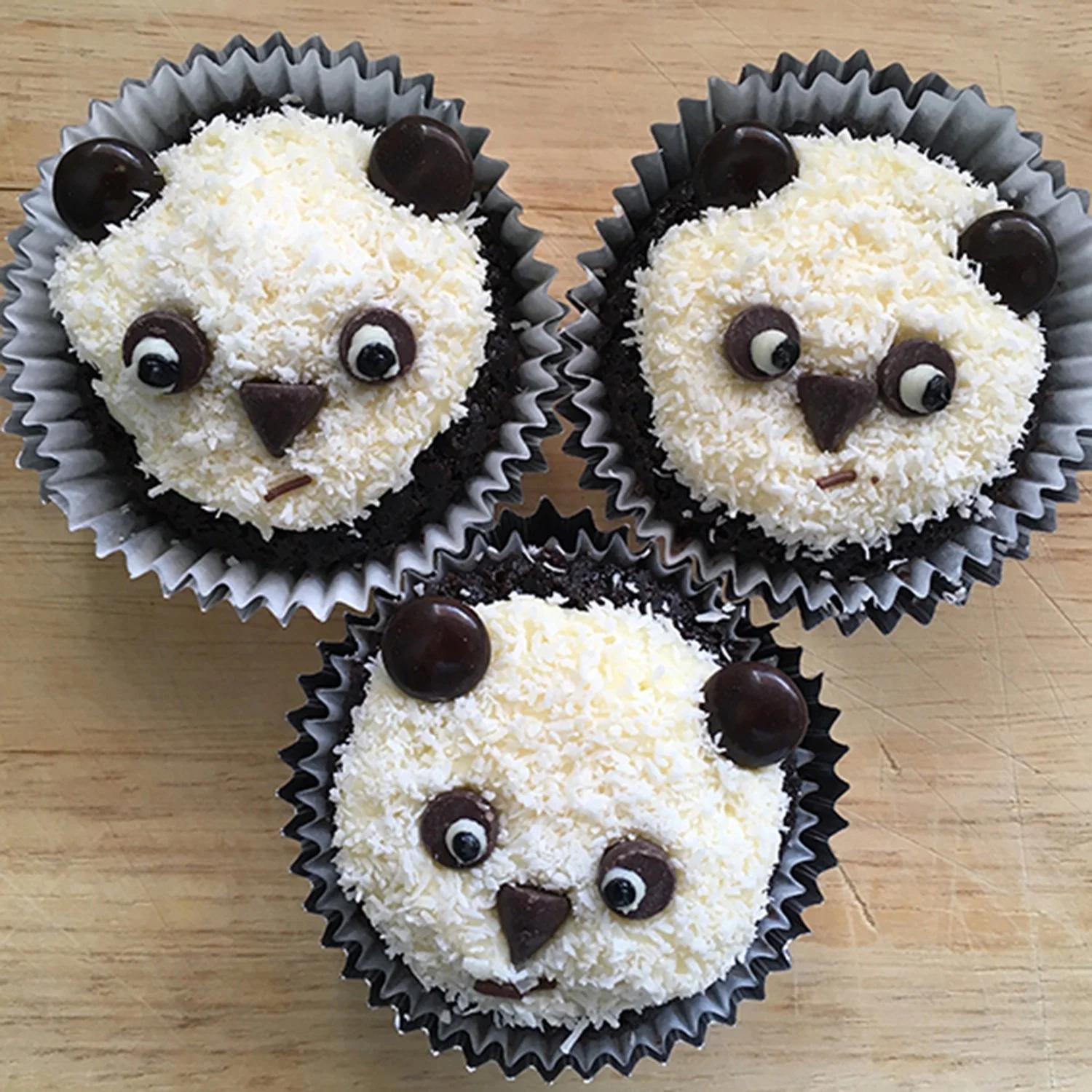cupcakes_pandaLR.jpg