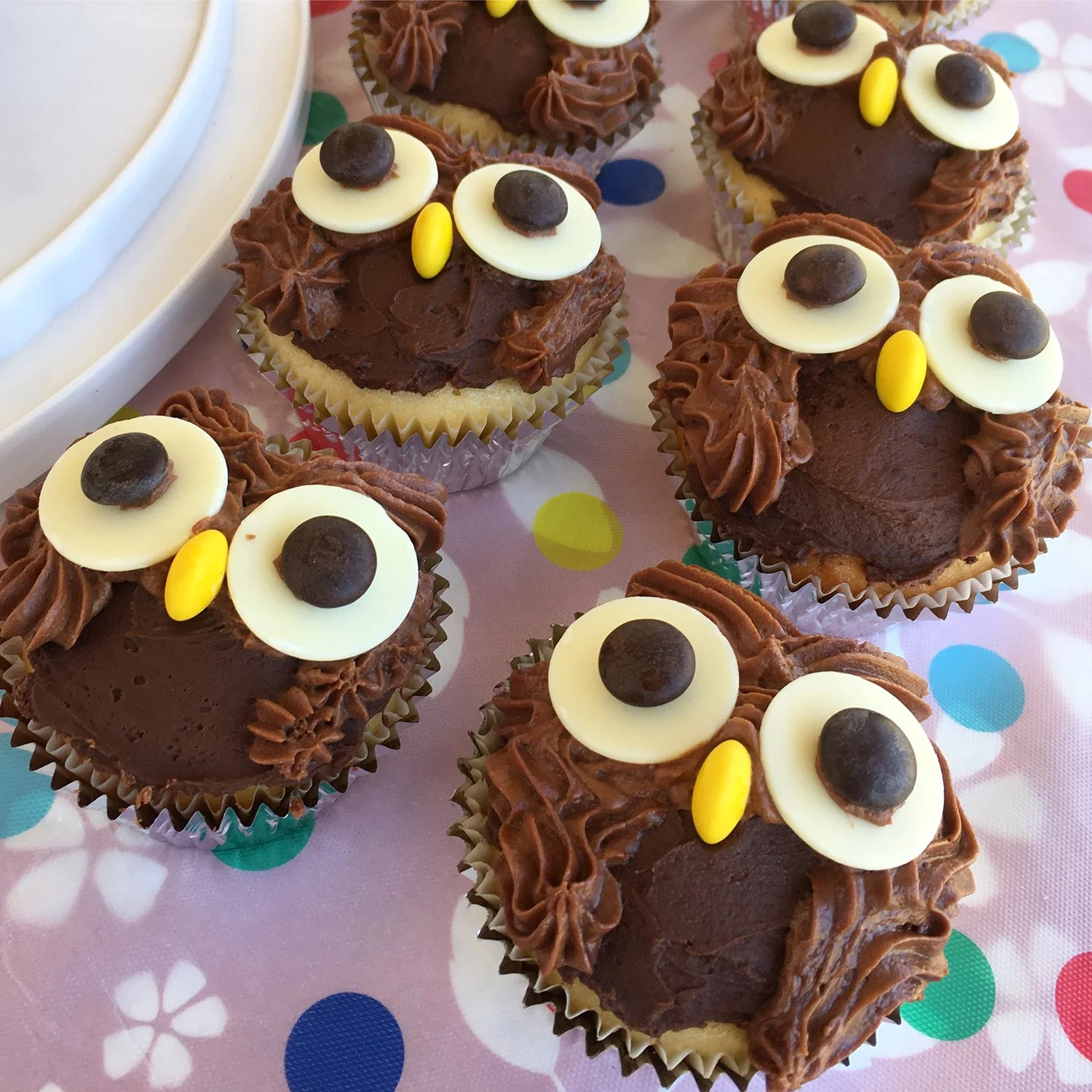owls.jpg