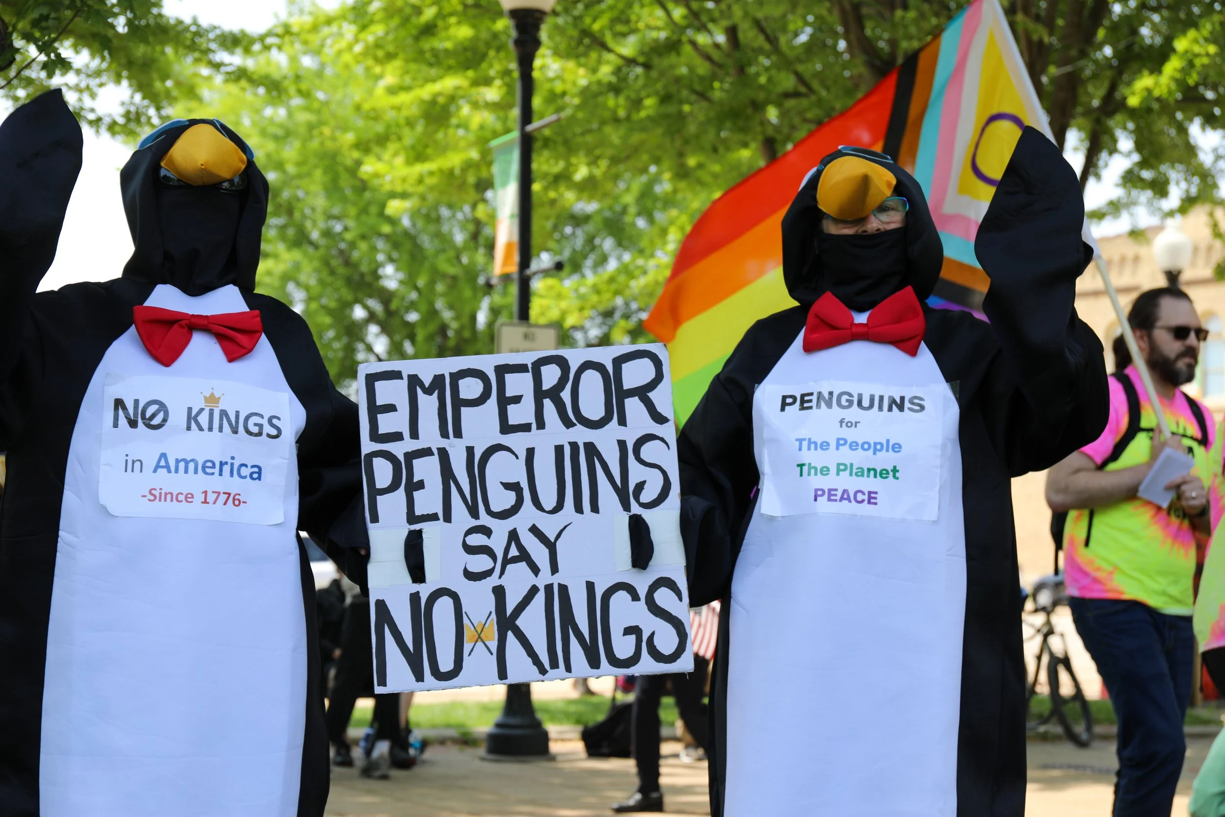 Two individuals dressed as penguins wearing tuxedo-like outfits with red bow ties and yellow beak masks are protesting during a parade. They hold signs with messages against monarchy and supporting environmental and peace causes, with a rainbow flag 