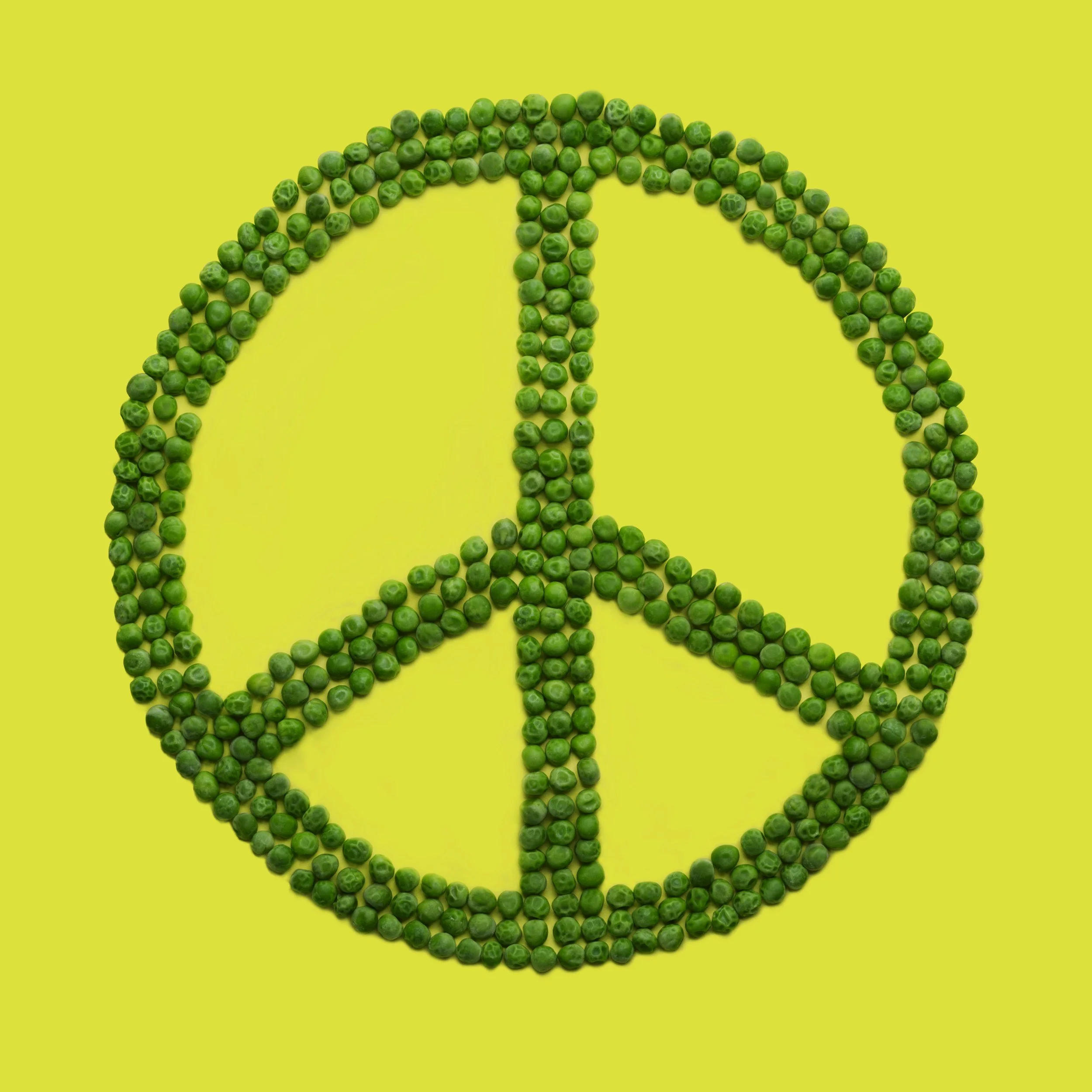 World Peace Festival