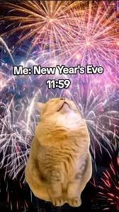 Happy New Year's Eve!