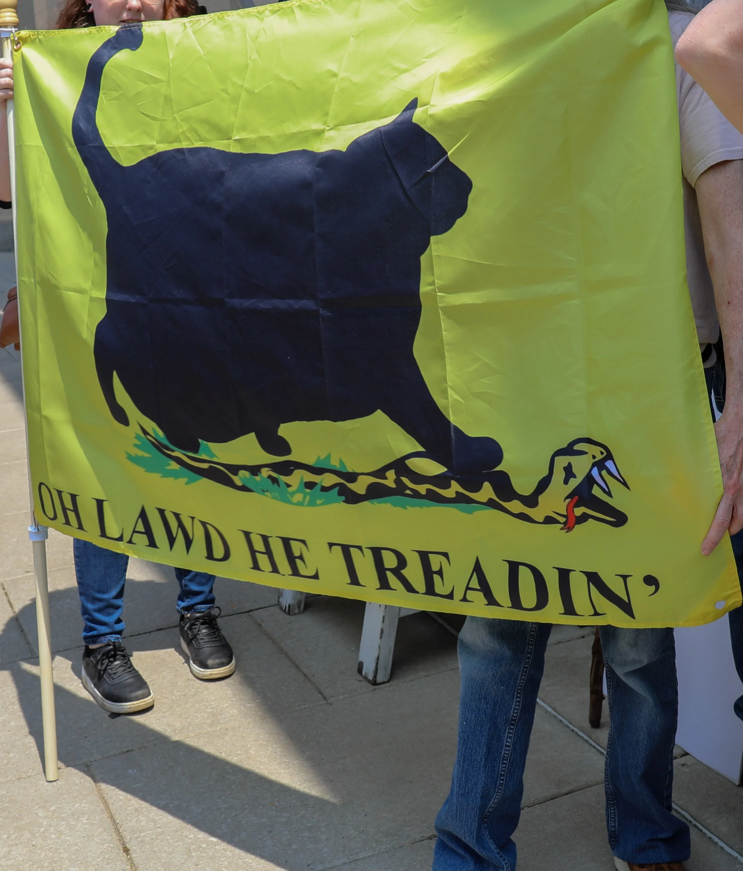 A protester holding a yellow flag with a silhouette of a black panther and a snake, with the phrase 'OH LAWD HE TREADIN'' written at the bottom.