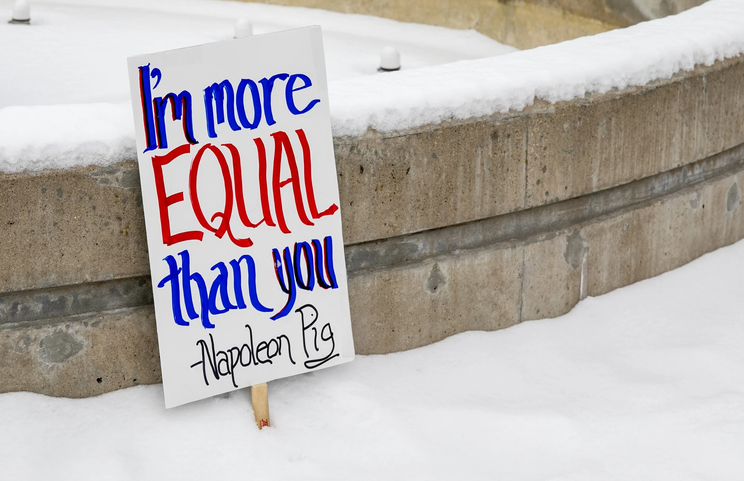 Sign with the message "I'm more EQUAL than you" written in red, blue, and black letters, leaning against a snow-covered brick wall.