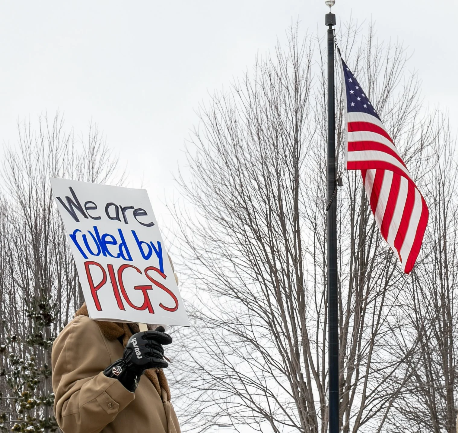 Person holding a protest sign that reads "We are ruled by PIGS" with an American flag in the background.