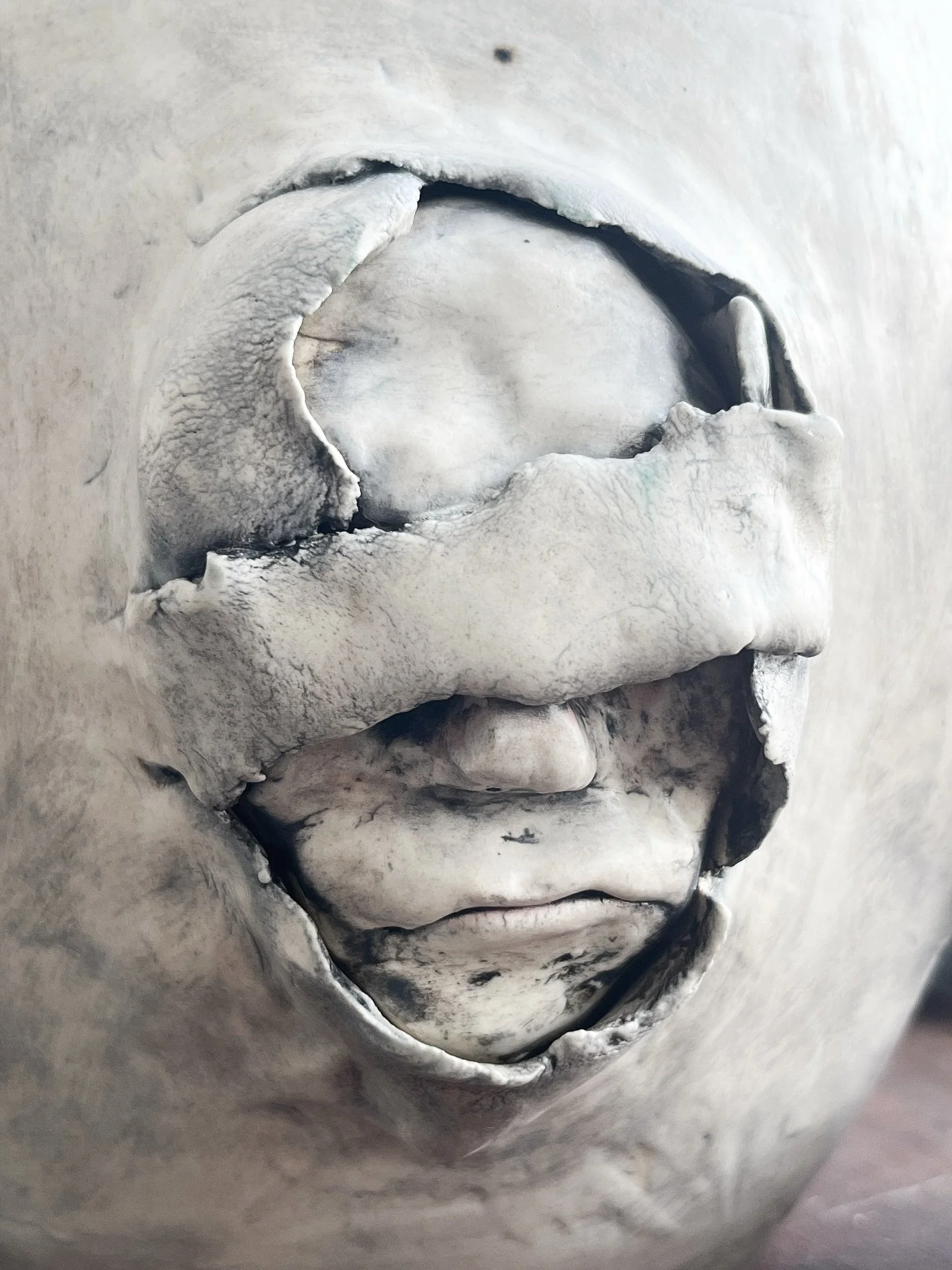 Emergence. 

#ceramics #ceramicsculpture #contemporaryart #contemporarysculptures #stonewareceramics #stonewaresculpture #canadianceramics #fusionclayandglass #ontarioceramics @fusionclayglass