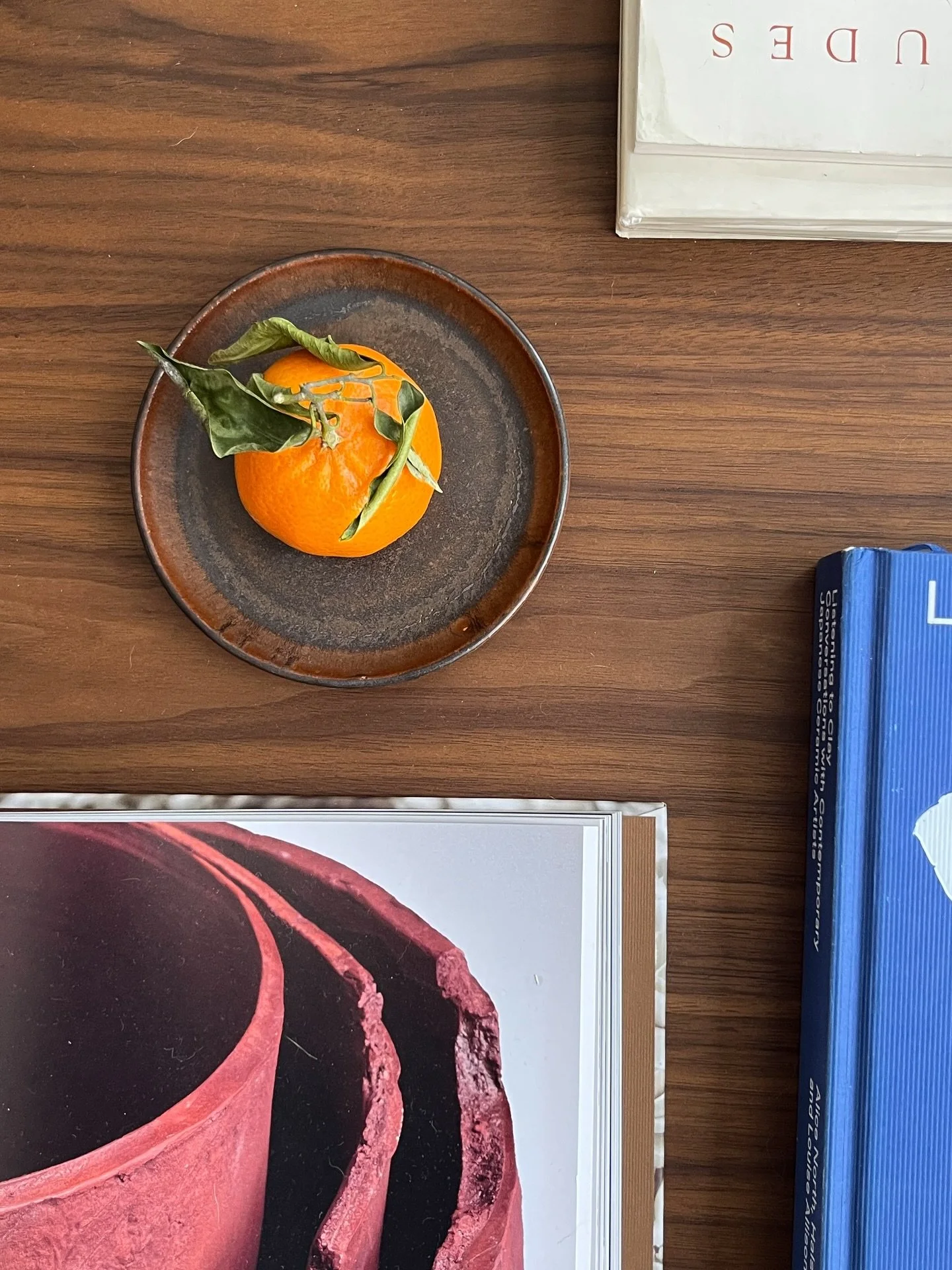 A test plate that didn&rsquo;t make the first cut. Coming back to it months later, the glaze feels richer than I remembered. I&rsquo;ll keep working with it but for now, it serves a simple purpose.