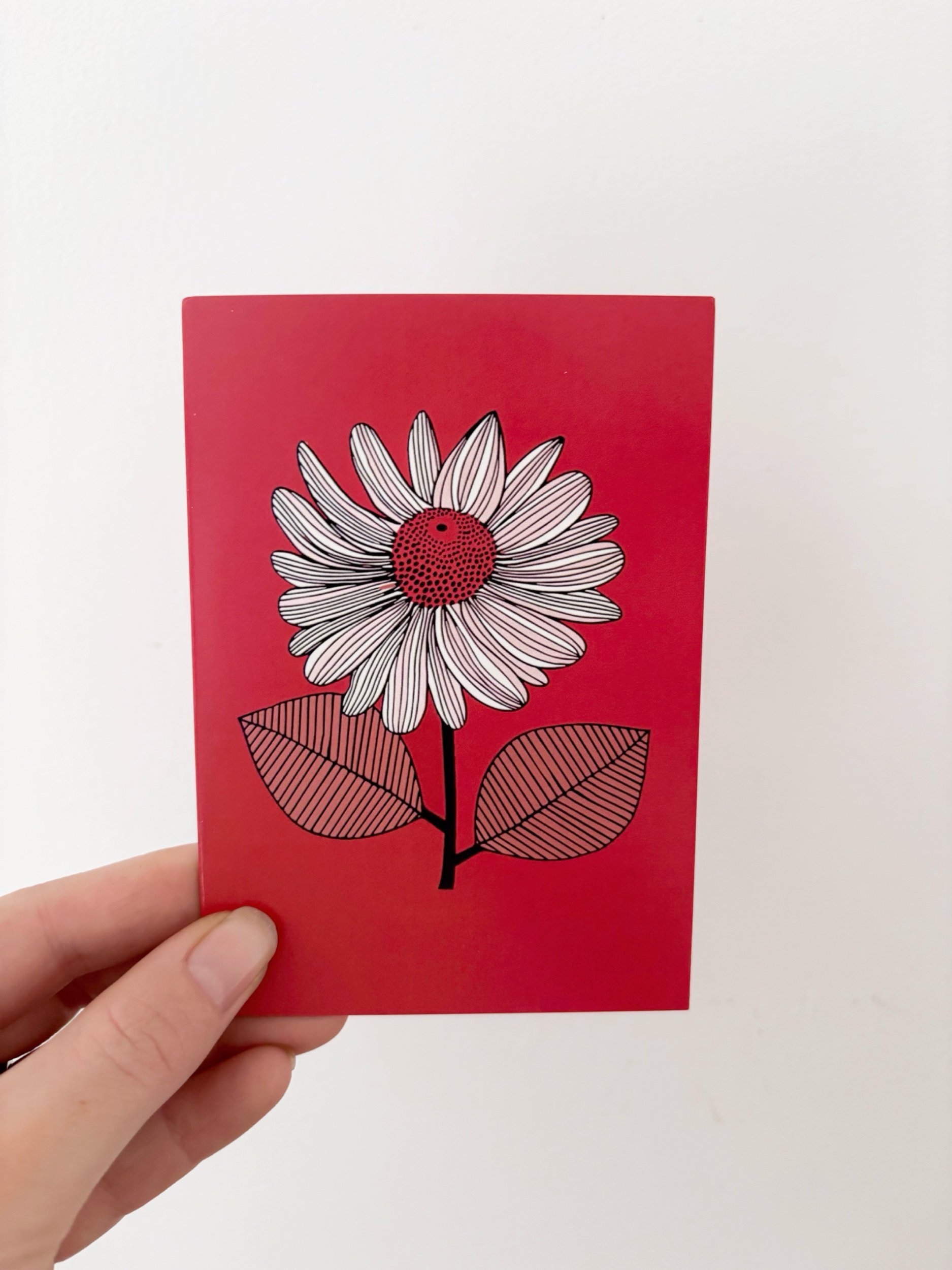 Botanical Card - Flor Florals - Cairns Florist, Flower Delivery Cairns - ,Same day flower delivery Cairns.