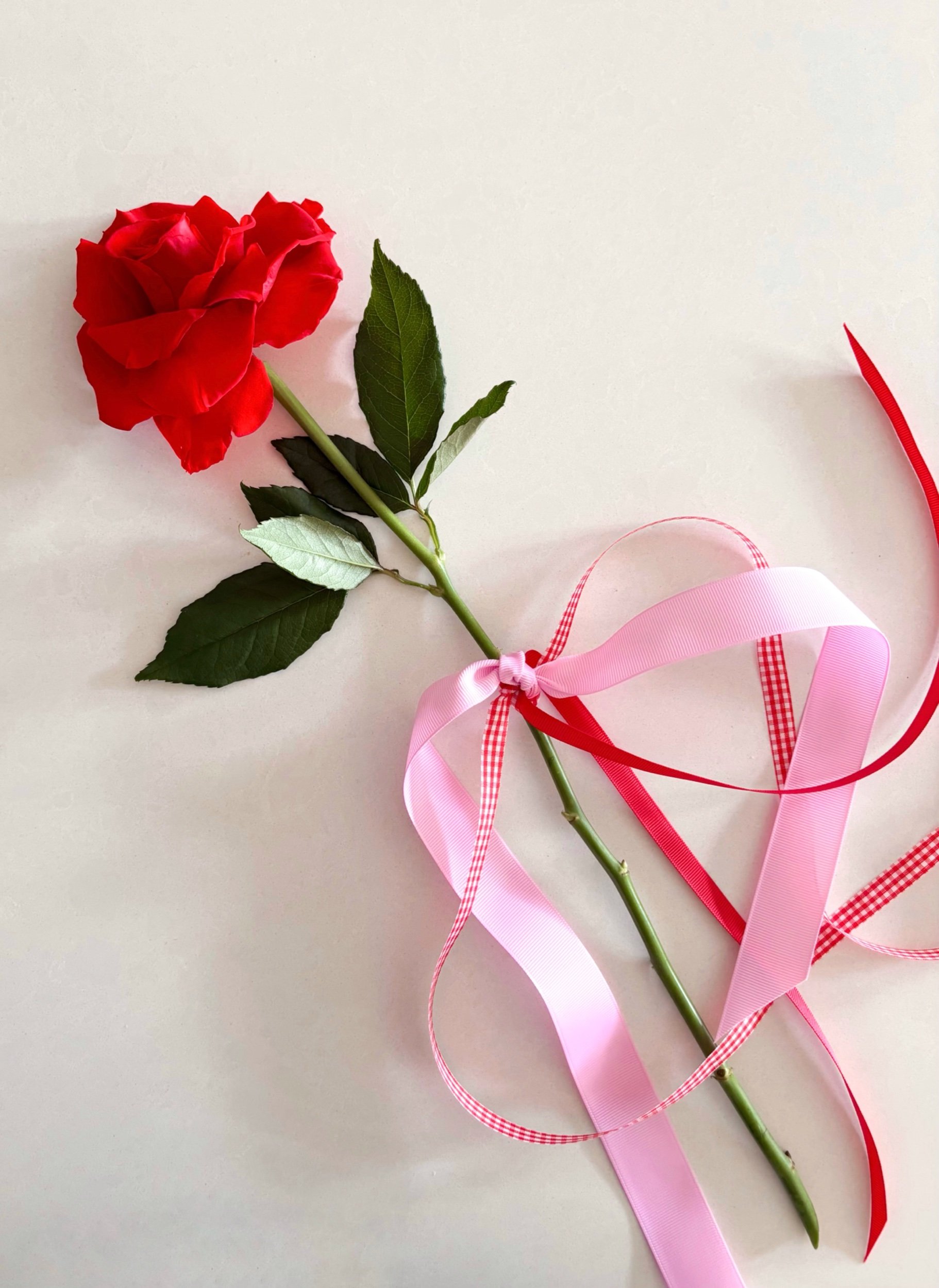 VALENTINE'S DAY - Single Rose 🌹Available soon! - Flor Florals - Cairns Florist, Flower Delivery Cairns - ,Same day flower delivery Cairns.