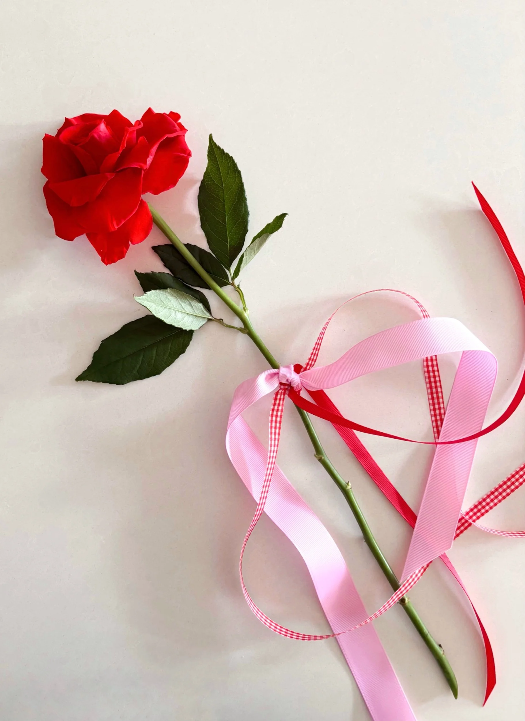 VALENTINE'S DAY - Single Rose 🌹 - Flor Florals - Cairns Florist, Flower Delivery Cairns - ,Same day flower delivery Cairns.