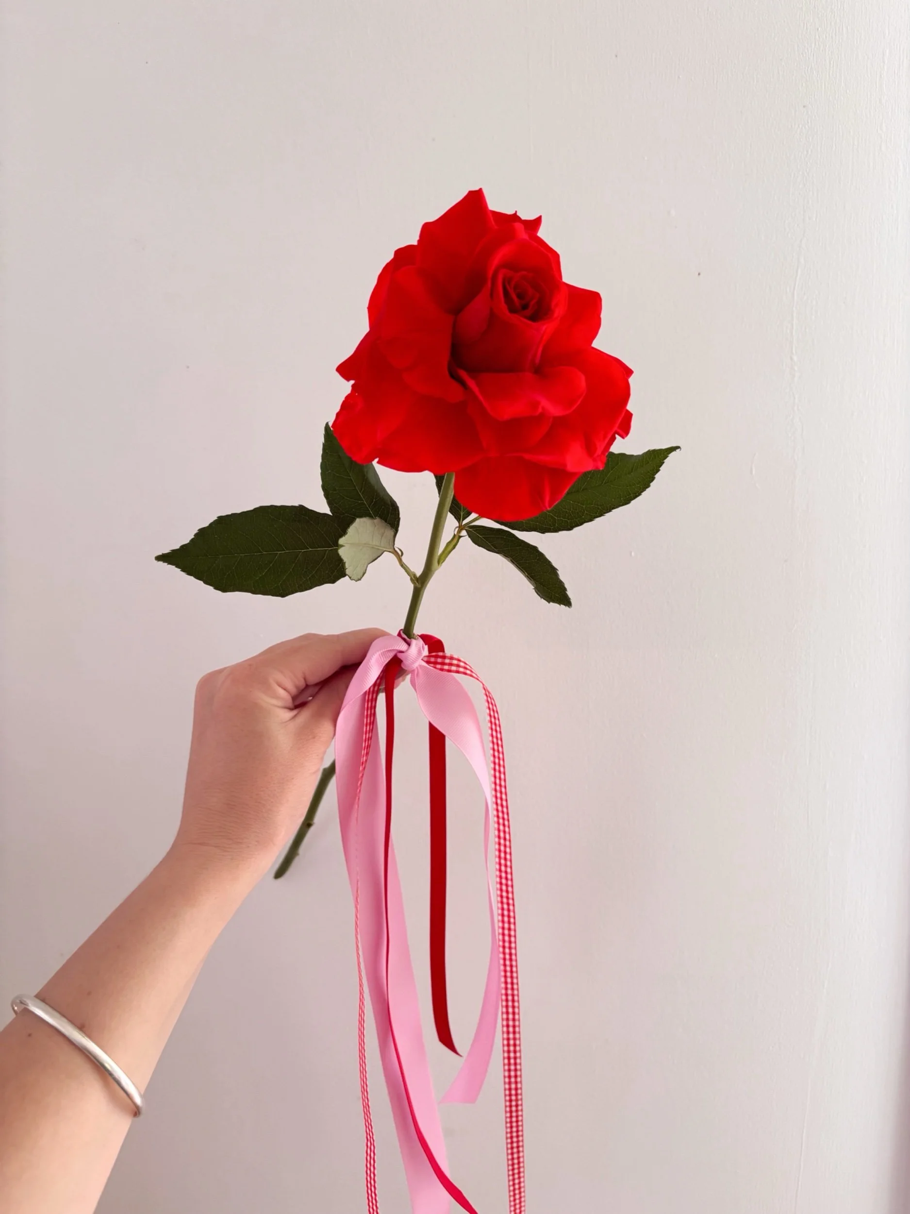 VALENTINE'S DAY - Single Rose 🌹