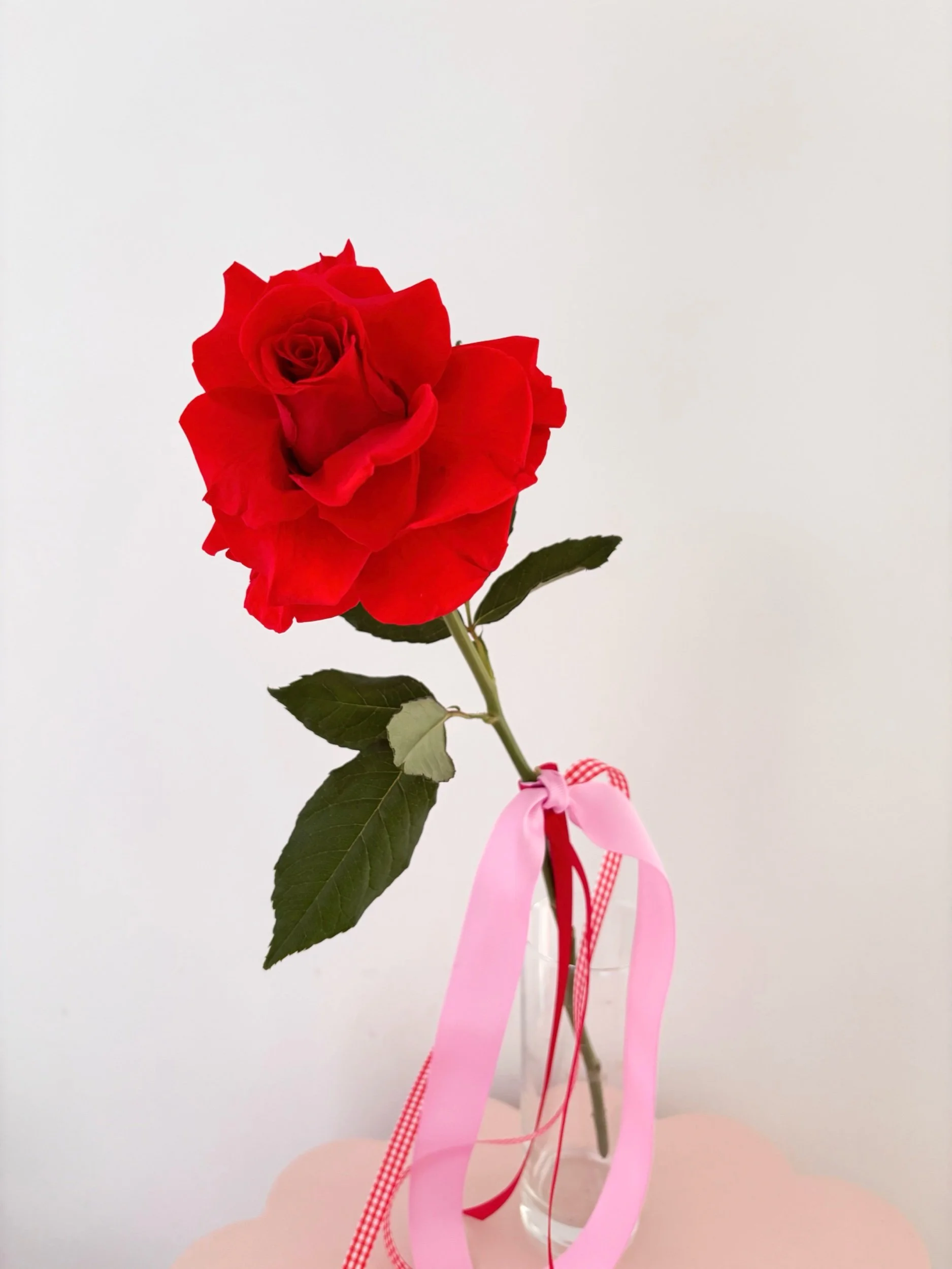VALENTINE'S DAY - Single Rose 🌹 - Flor Florals - Cairns Florist, Flower Delivery Cairns - ,Same day flower delivery Cairns.