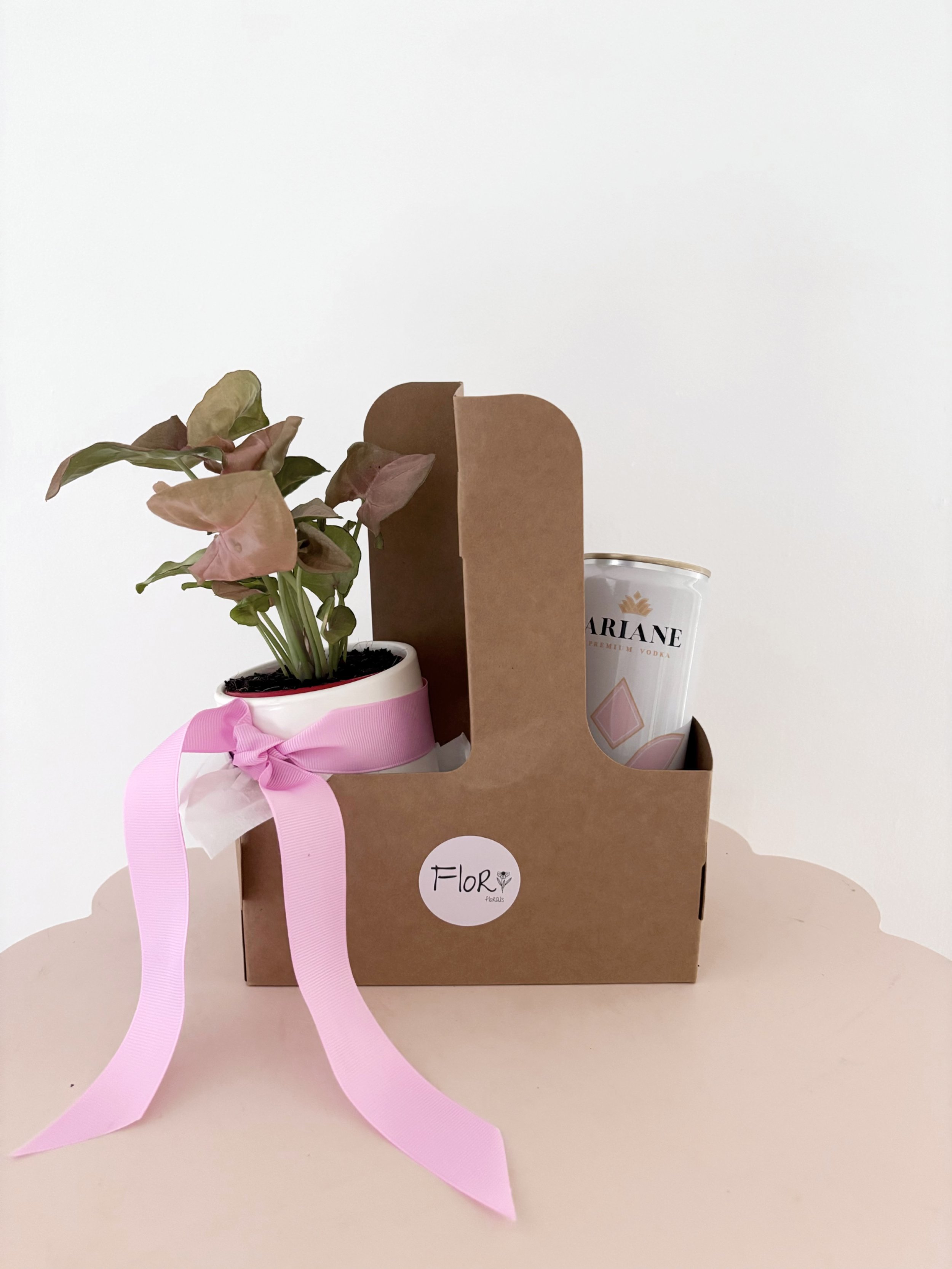 Plant & Drink combo - Flor Florals - Cairns Florist, Flower Delivery Cairns - ,Same day flower delivery Cairns.