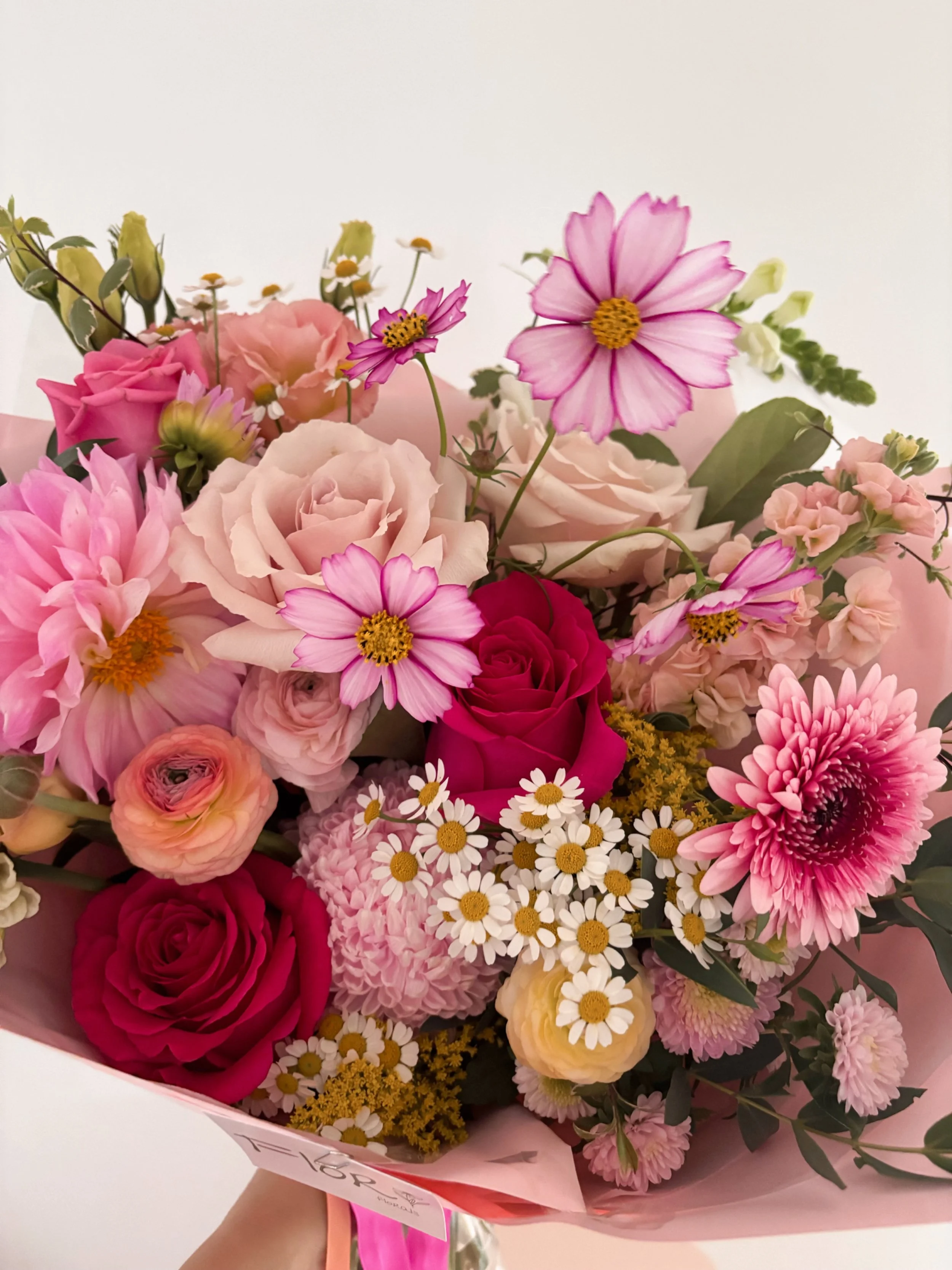 6BA70E1F-9890-4DCC-8C97-204ACFEFAA6A.jpeg