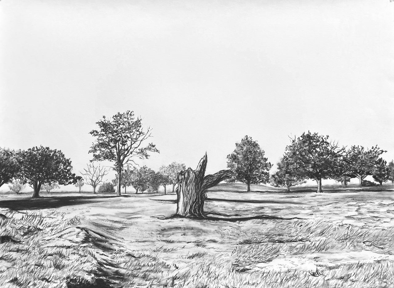 IMG_2696+Large.png