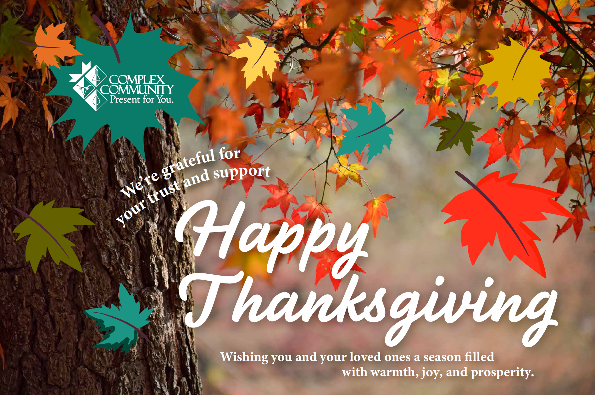 CCFCU Members Thanksgiving Message