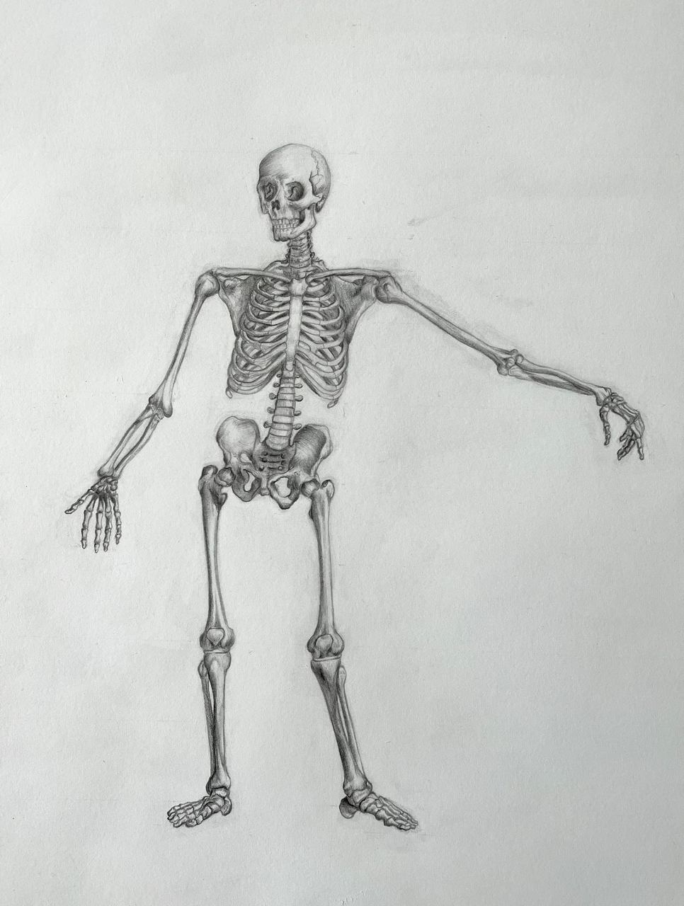 IMG_0324 Large.png