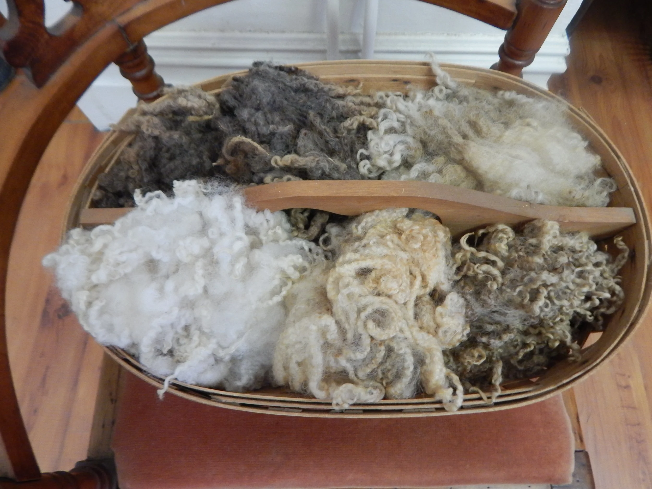PA Sheep and Wool Festival