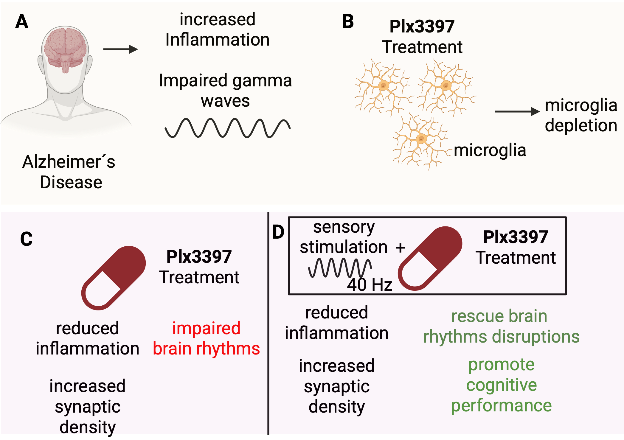 🔥A New Preprint : Sensory stimulation rescues microglia depletion associated brain rhythm impairments