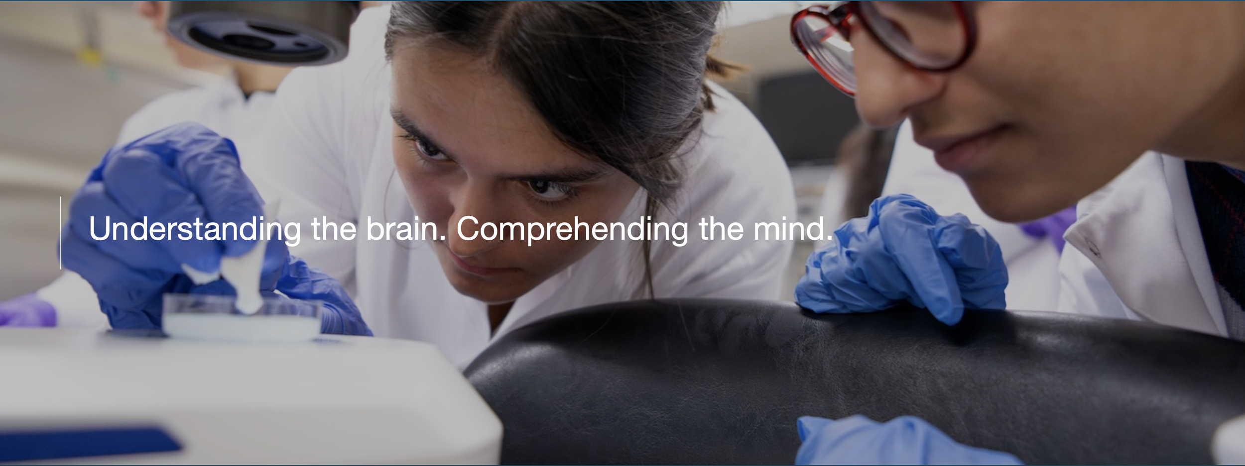 Teaching at Molecular &amp; Cellular Neuroscience Program at the Department of Brain and Cognitive Sciences, MIT