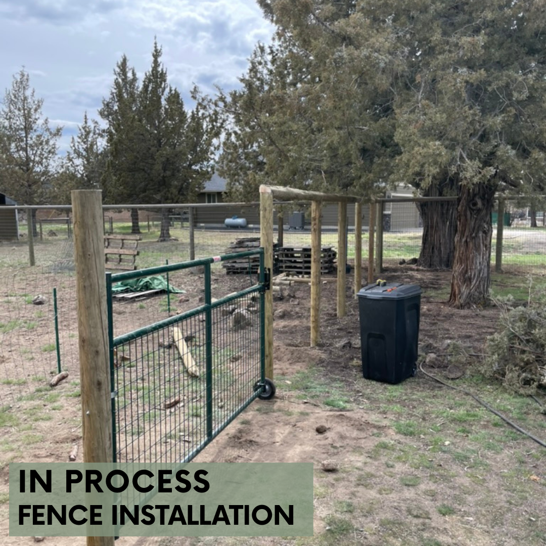 Street Front Yard Fence In Process.png