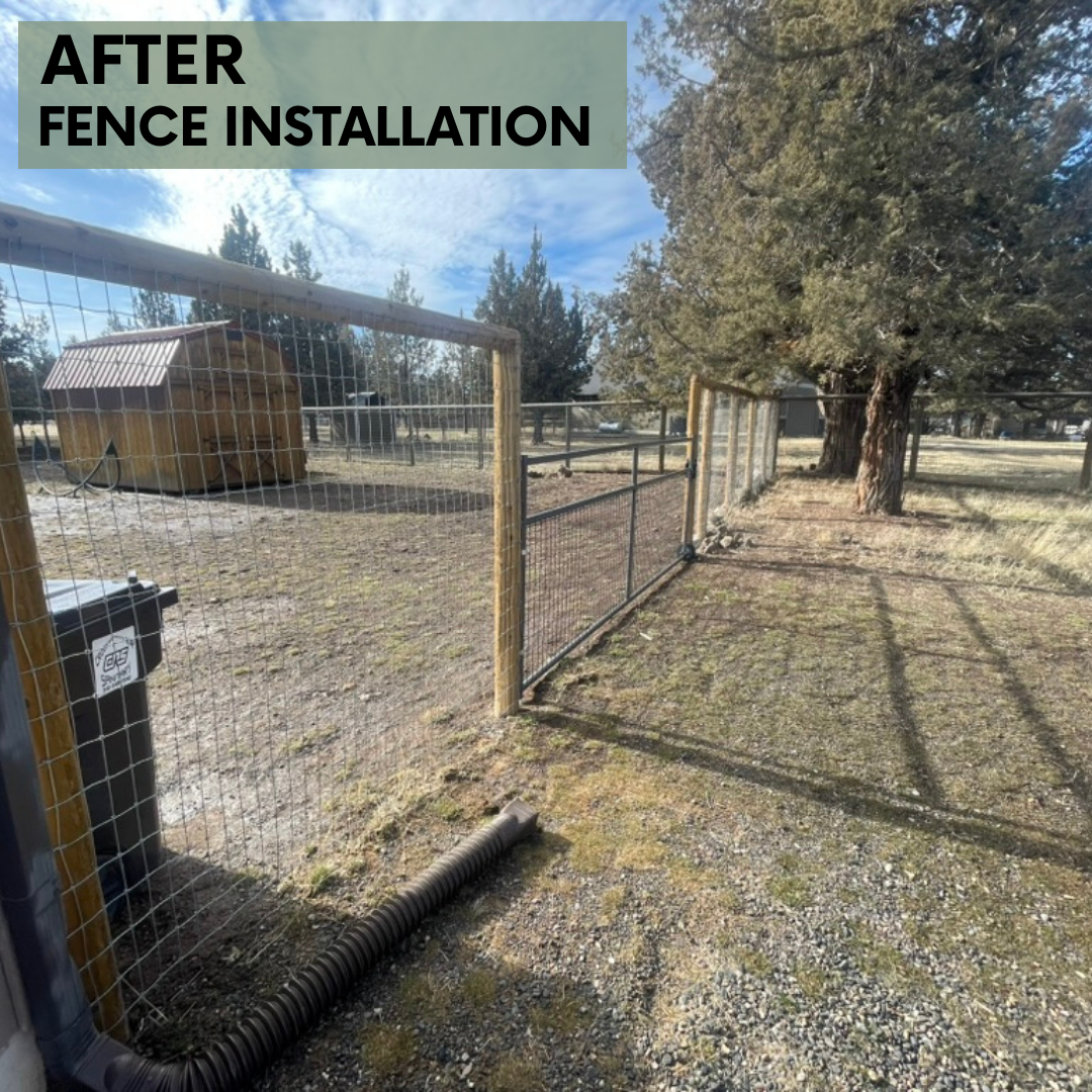 Street Front Yard Fence After.png