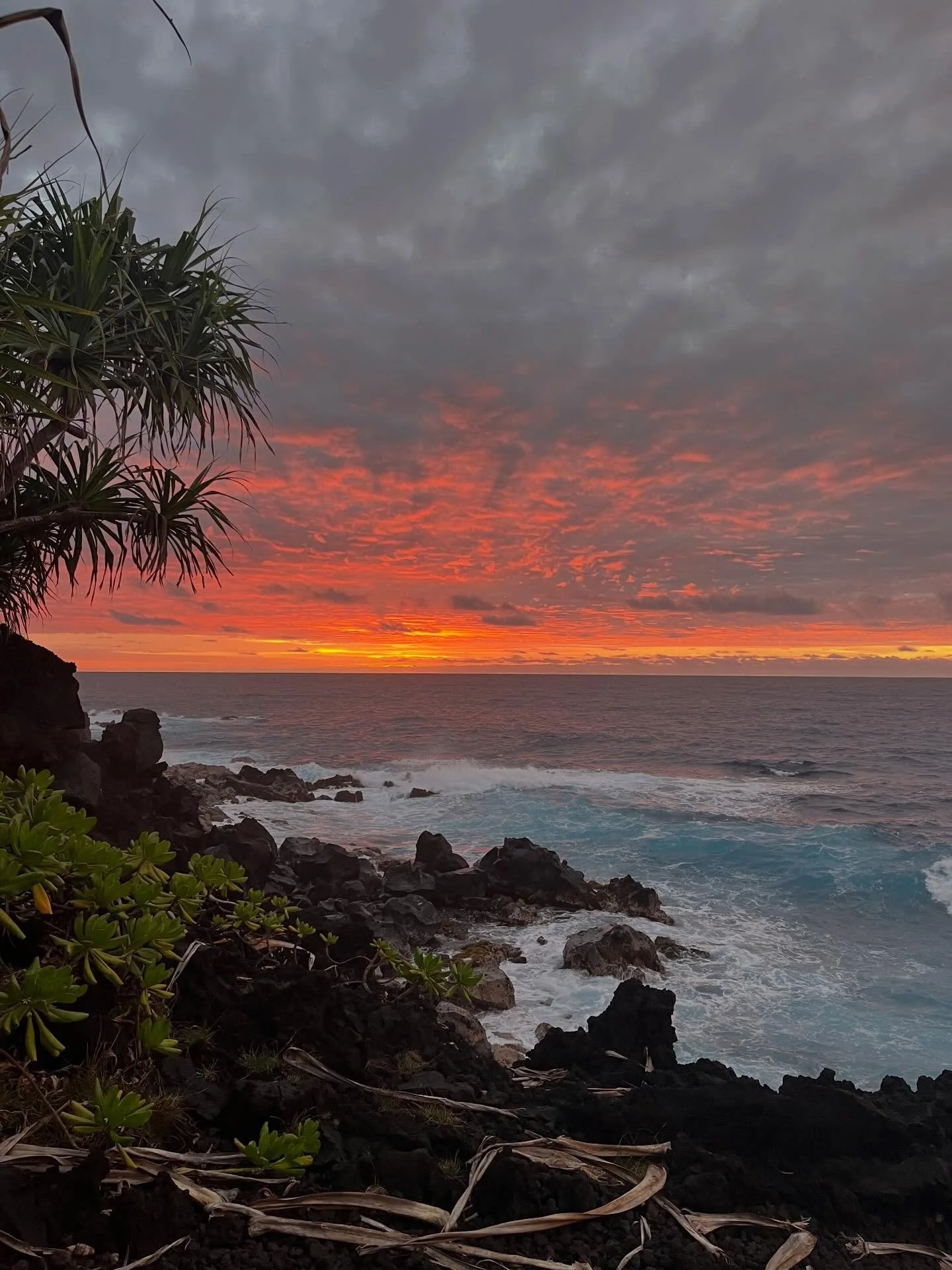 先週、ハワイ島へ行ってきました🌺
8年ぶりのビッグアイランド。

あの場所のエネルギーを
今も感じることができます。

刻み込まれた。

最初から最後まで
全てがパーフェクトで

それは、トラブルがないとか
お天気がよいとか

そういうことではなくて

『トラブル』といっているのは
わたしたちの思考（頭）であって

すべてはうまくいくように
導かれているのだと

パズルのピースが
綺麗にはまっていくことを目撃し

視点が変わり
視座が切り替わるのを体感しました。

この世は調和でできている。　