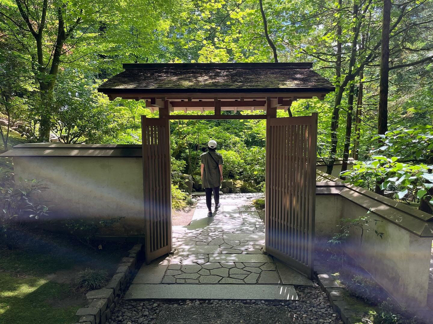先日ポートランドの日本庭園にて

"Spread Peace Wish Tree by Yoko Ono"　（June 7-10, 2024）が開催されており、参加してきました。

入口を入り、坂道をしばらく登り、
森の中にある日本庭園。
 
 
オノ・ヨーコ氏の平和の祈りの木が庭園の広場に置かれており、誰でも祈りを書いて木に結びつけることができるスタイルでした。

私たちが訪れたのは2日目だったのですが、
すでにたくさんの祈りが。そしてその景色はまるで日本の七夕のようで、懐