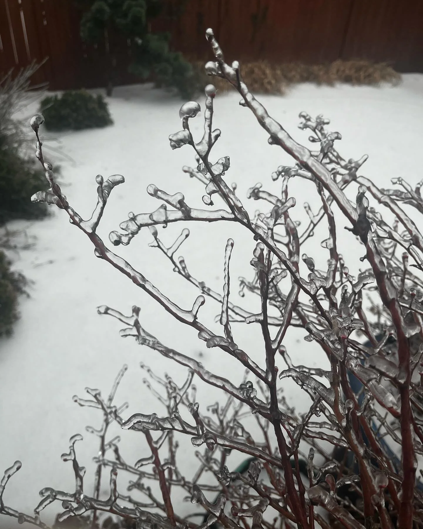 【停電時でも電気の暖炉が使える裏技】

暖炉は薪のタイプと電気のタイプがありますが、我が家は電気のタイプ。

だから停電の時は使えなくなると思っていたのですが

じつは乾電池で動く仕組みになっていました！

この家に住んで4年以上経つけど、初めて知った、、、！😆私だけ？🤣

参考に動画を貼っておきます！
めったに使わないからホコリまみれなのはご容赦を（笑）乾電池は入れっぱなしNGだそうです。
 
 
寒波の影響は全米各地で見られているようです。ポートランドでも停電、倒木などの被害が続いていま