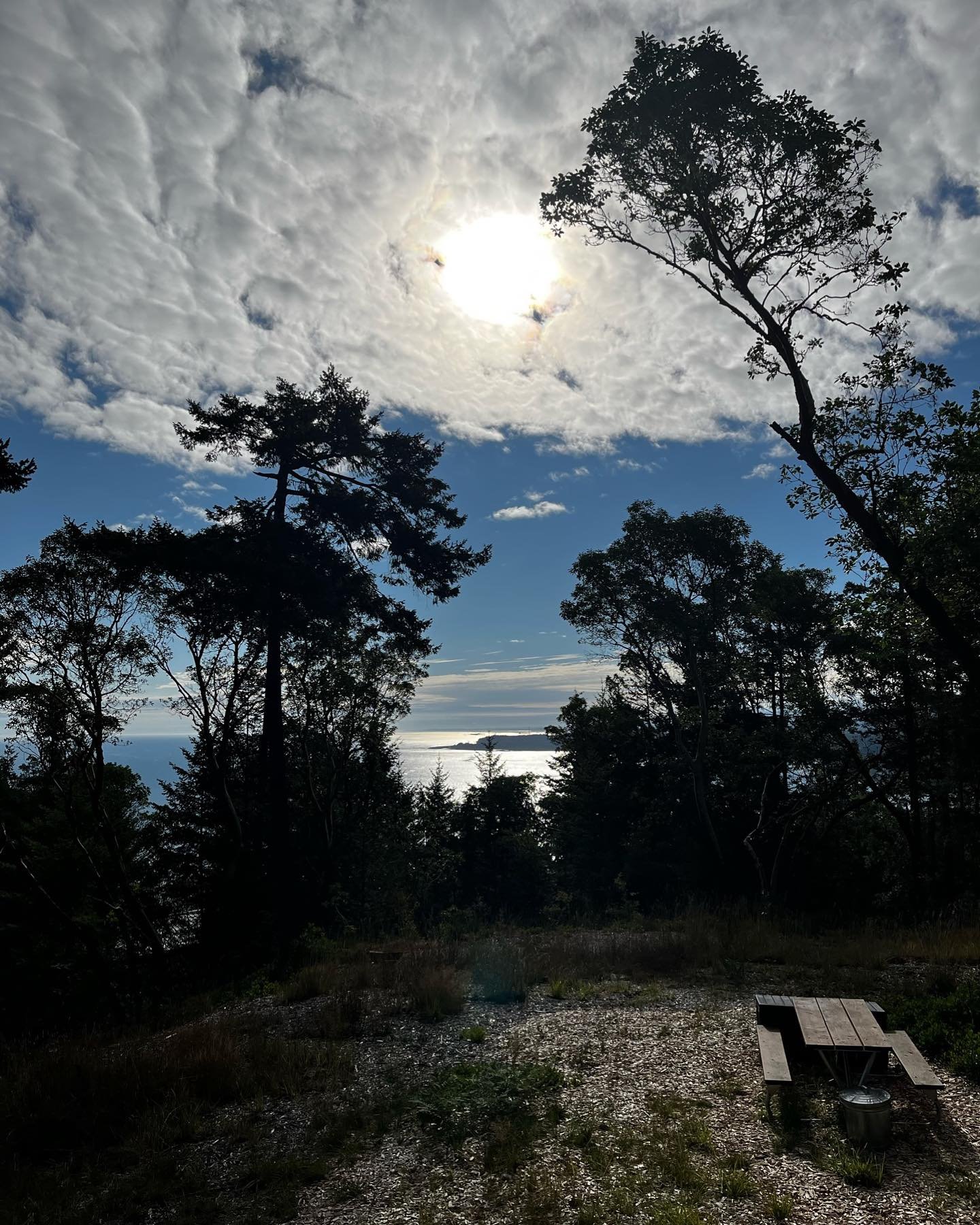 お久しぶりの投稿になりました。
早いもので11月になり、いかがお過ごしでしょうか。

ポートランドはこれから雨の季節です。
でもこの雨が、夏の緑のエネルギーになっていくのだと思います。循環を感じます。
 
 
じつは約1ヶ月ほど前に、オハイオ州にいる義理の母が急逝しました。
寄り添ってくださった方々本当にありがとうございました。

脳卒中でした。
あるお薬を常用していたため、延命措置ができなかったとのことでした。
 
 
葬儀に合わせてオハイオに戻り慌ただしくしておりましたが、
今はポートランド