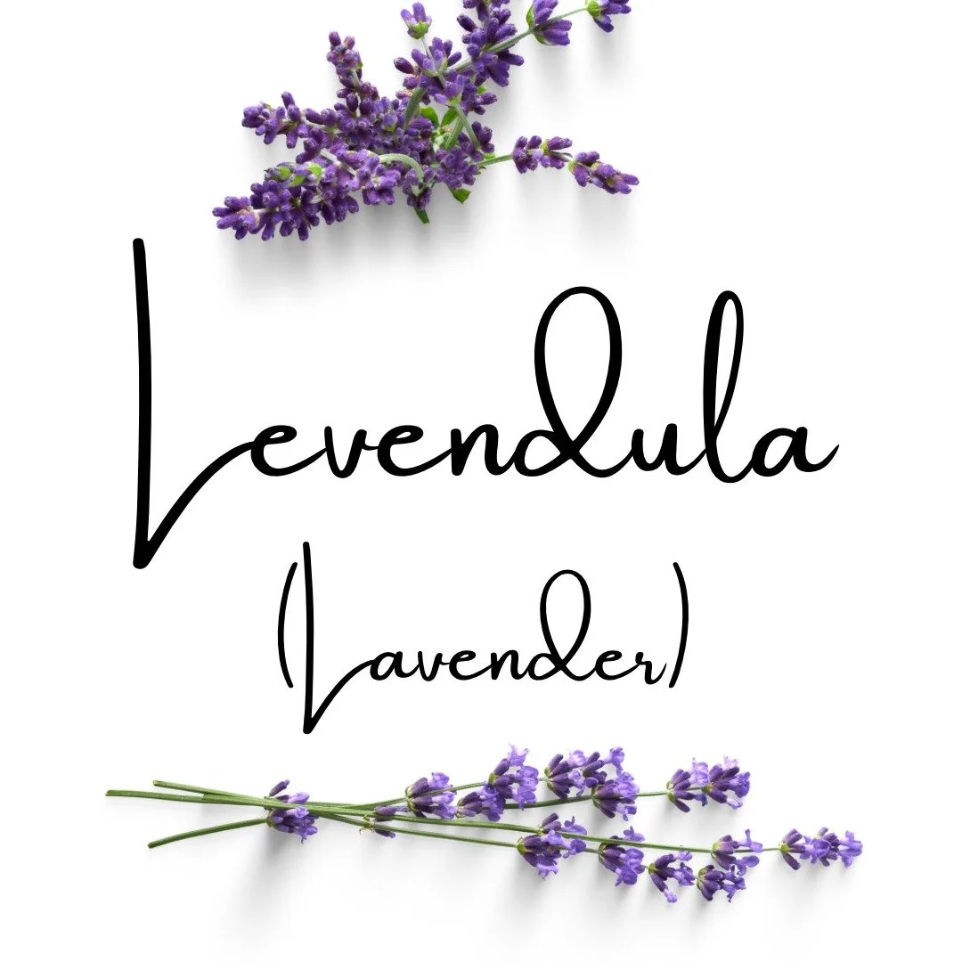 Lavender - Hungarians are OBSESSED with lavender!

Lavender, or "Levendula", is used in essential oils, tea, ice cream, decor, etc. Even later variations of an old cure-all called, "Hungary Water" have levendula in it.
Traditional
