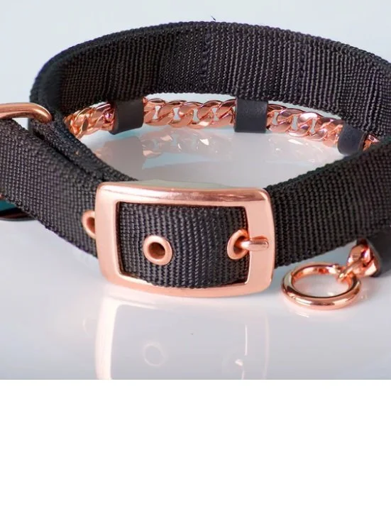 COPPER DOG COLLAR