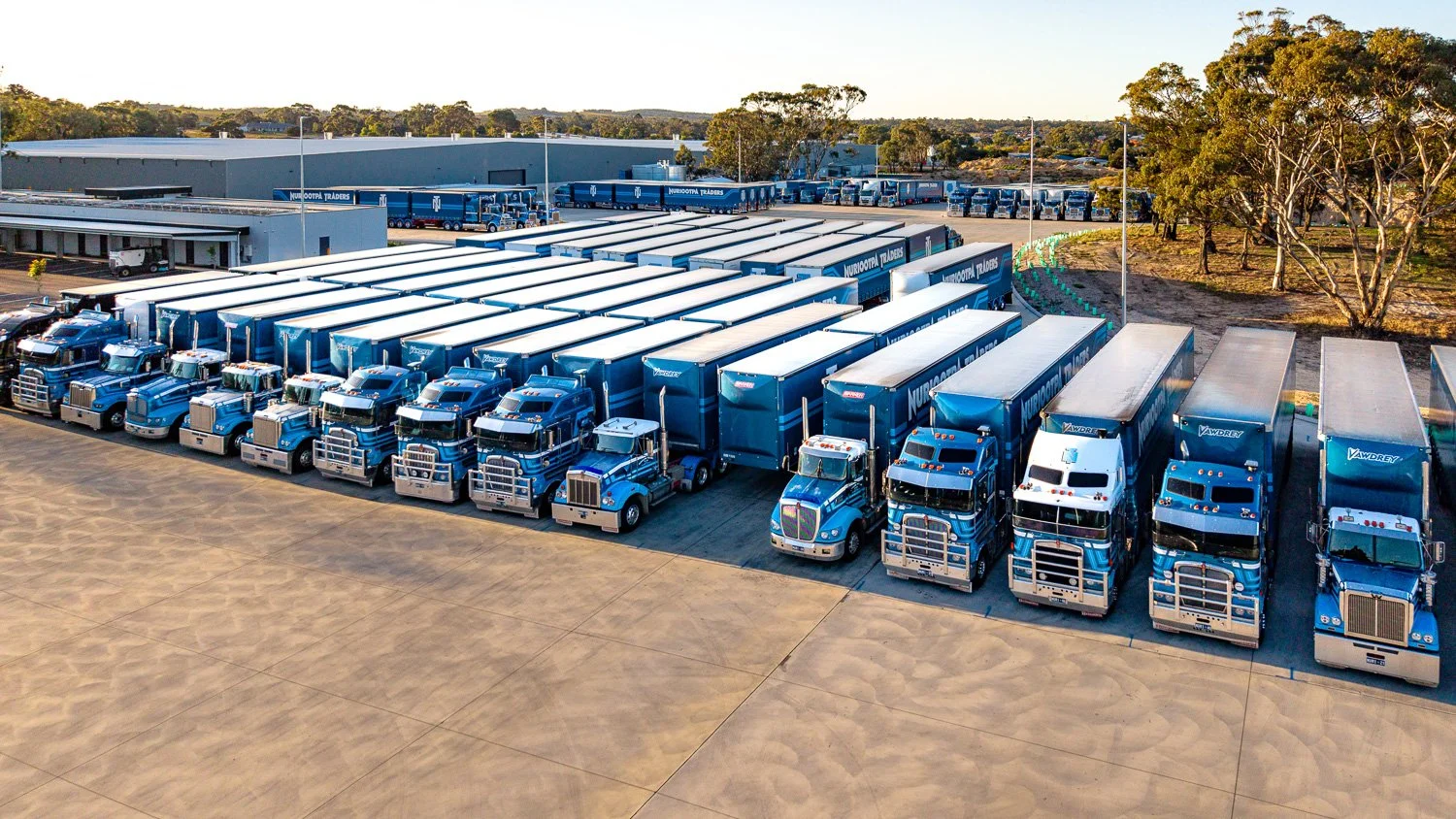 Line of Nuriootpa Traders trucks parked.