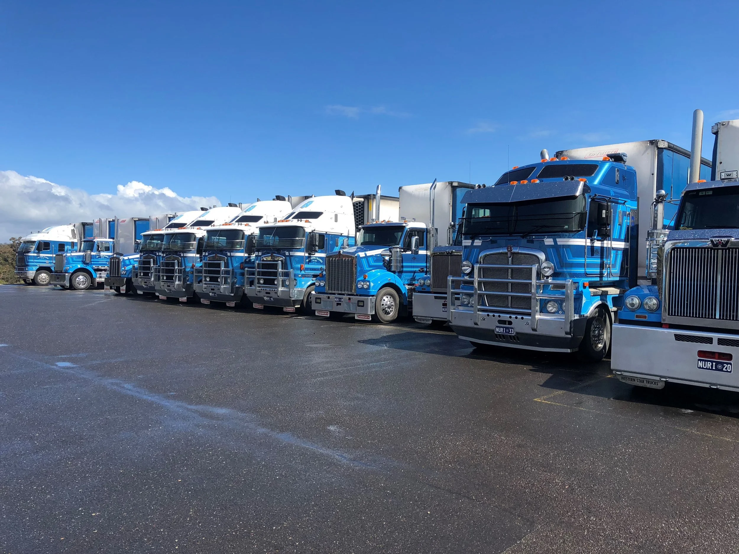 A lineup of Nuriootpa Traders trucks parked on a paved area under a partly cloudy sky.