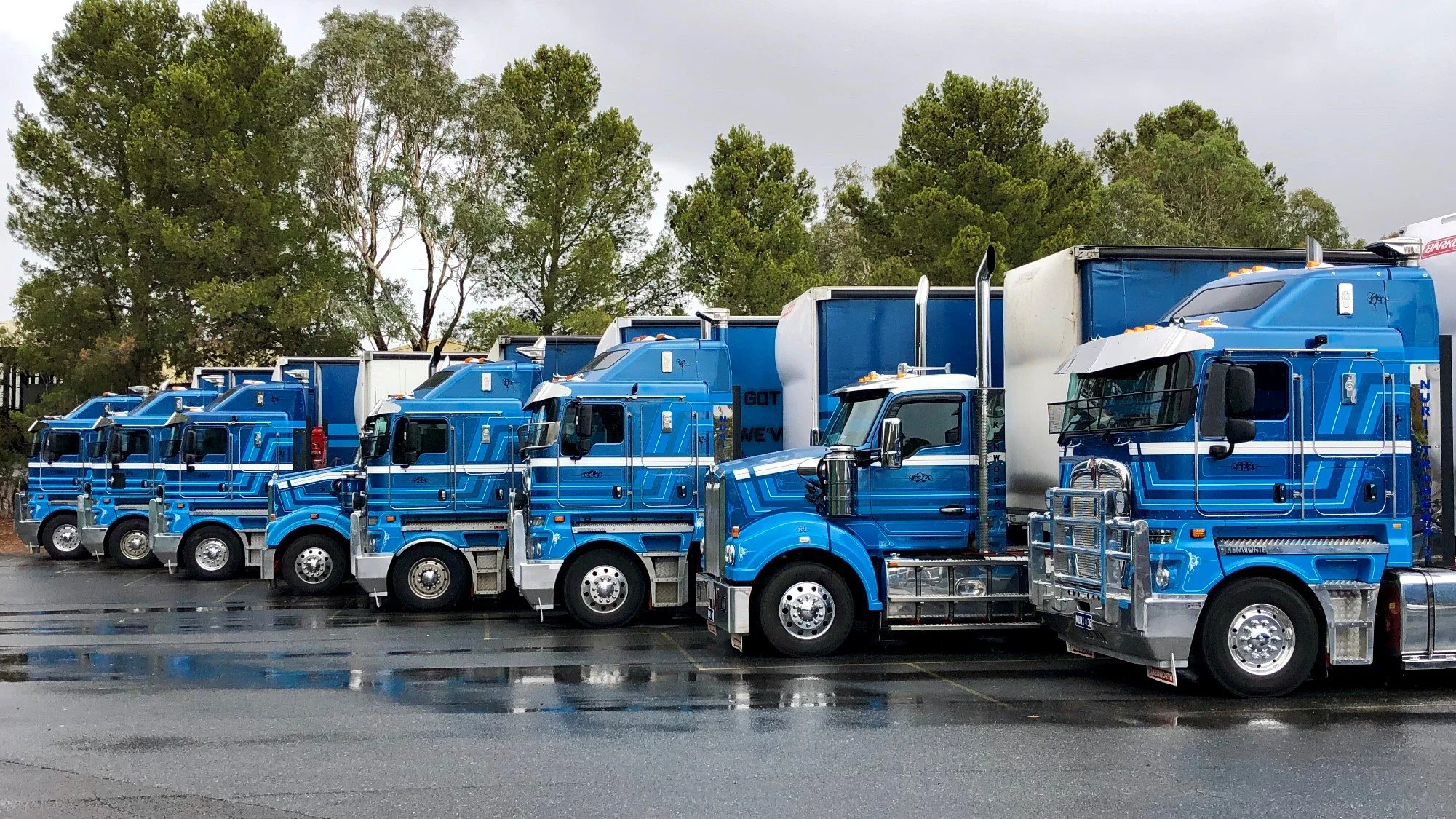 A lineup of several Nuriootpa Traders semi-trucks parked in a lot, with trees and a cloudy sky in the background.
