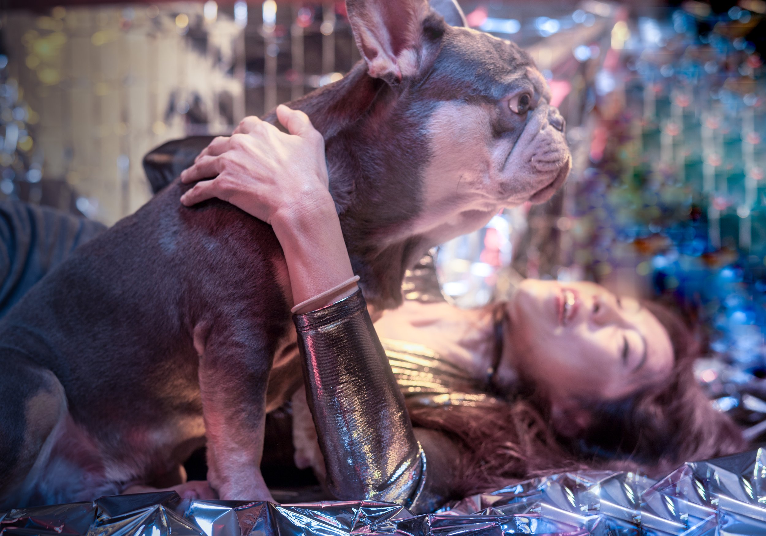 And yes, it's a Frenchie...