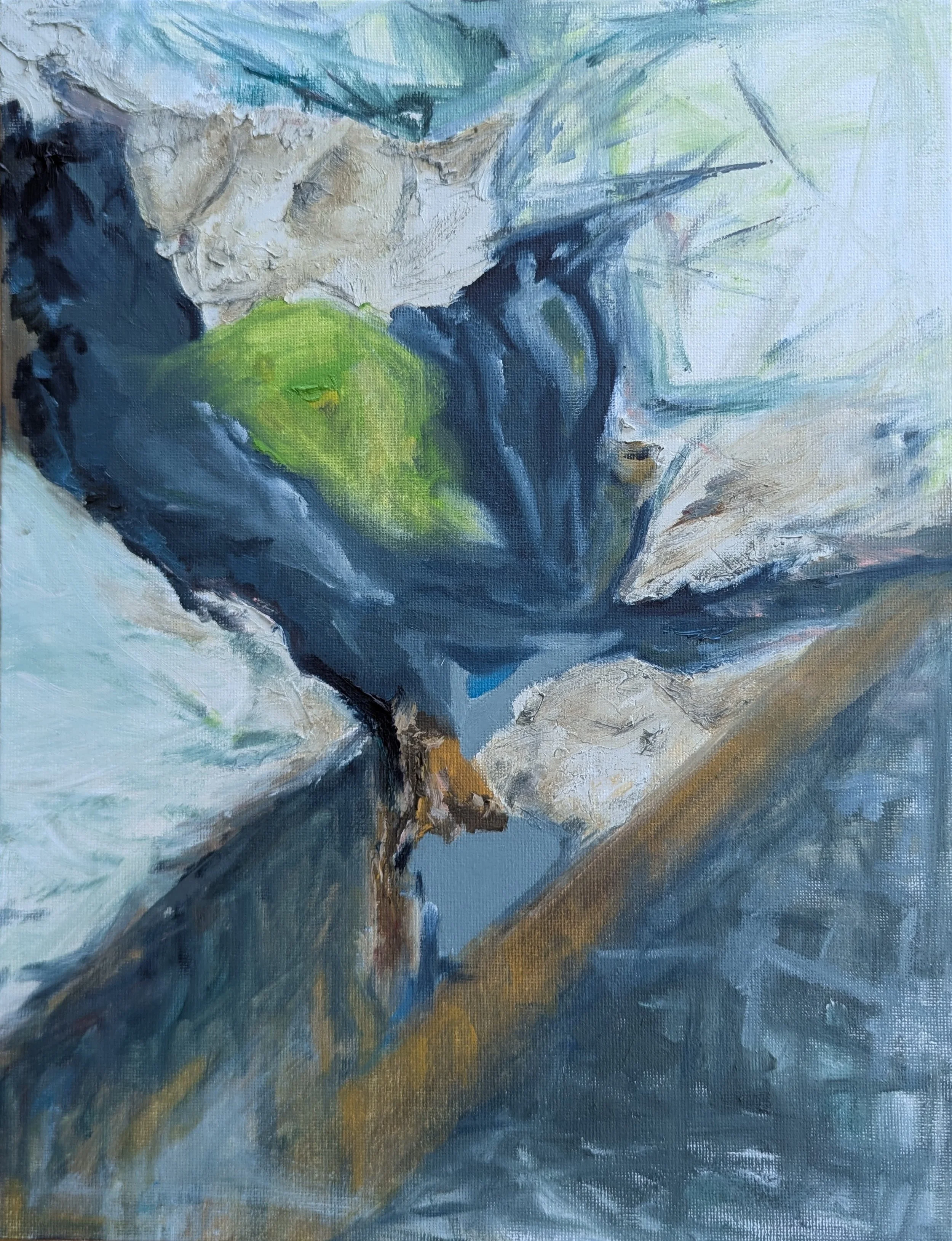 View from a Bridge, 2026 / oil on canvas / 14 x 11 inches / $250 framed