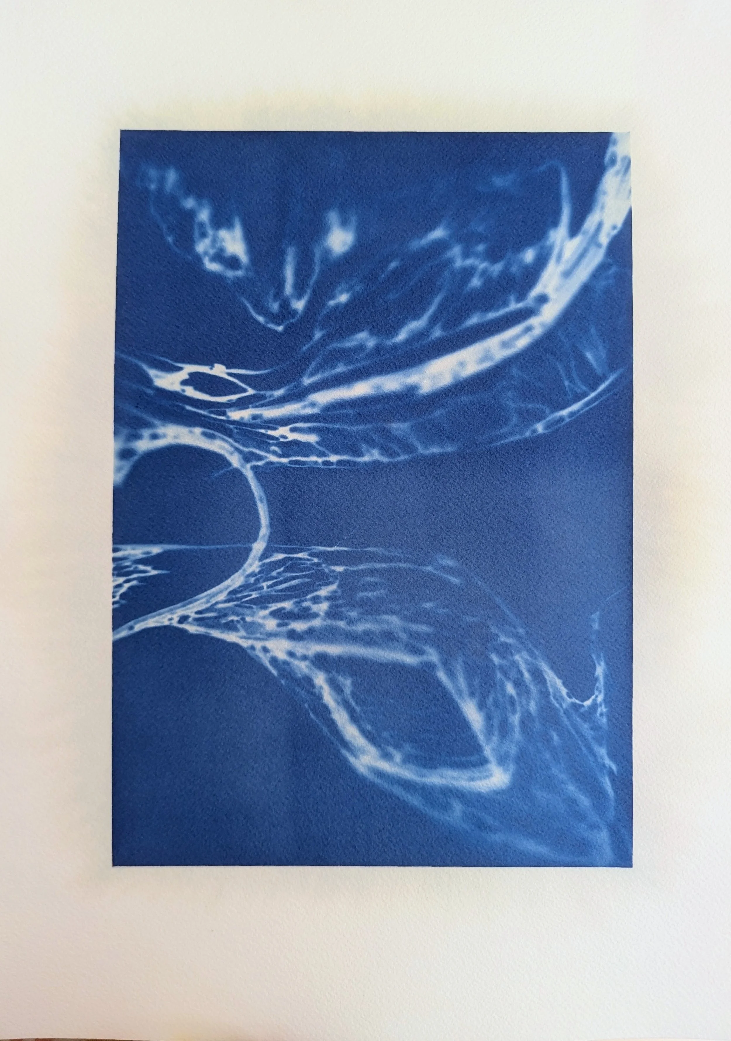 Ocean Shore, 2026 / cyanotype on paper / 16 x 12 inches / $100 framed