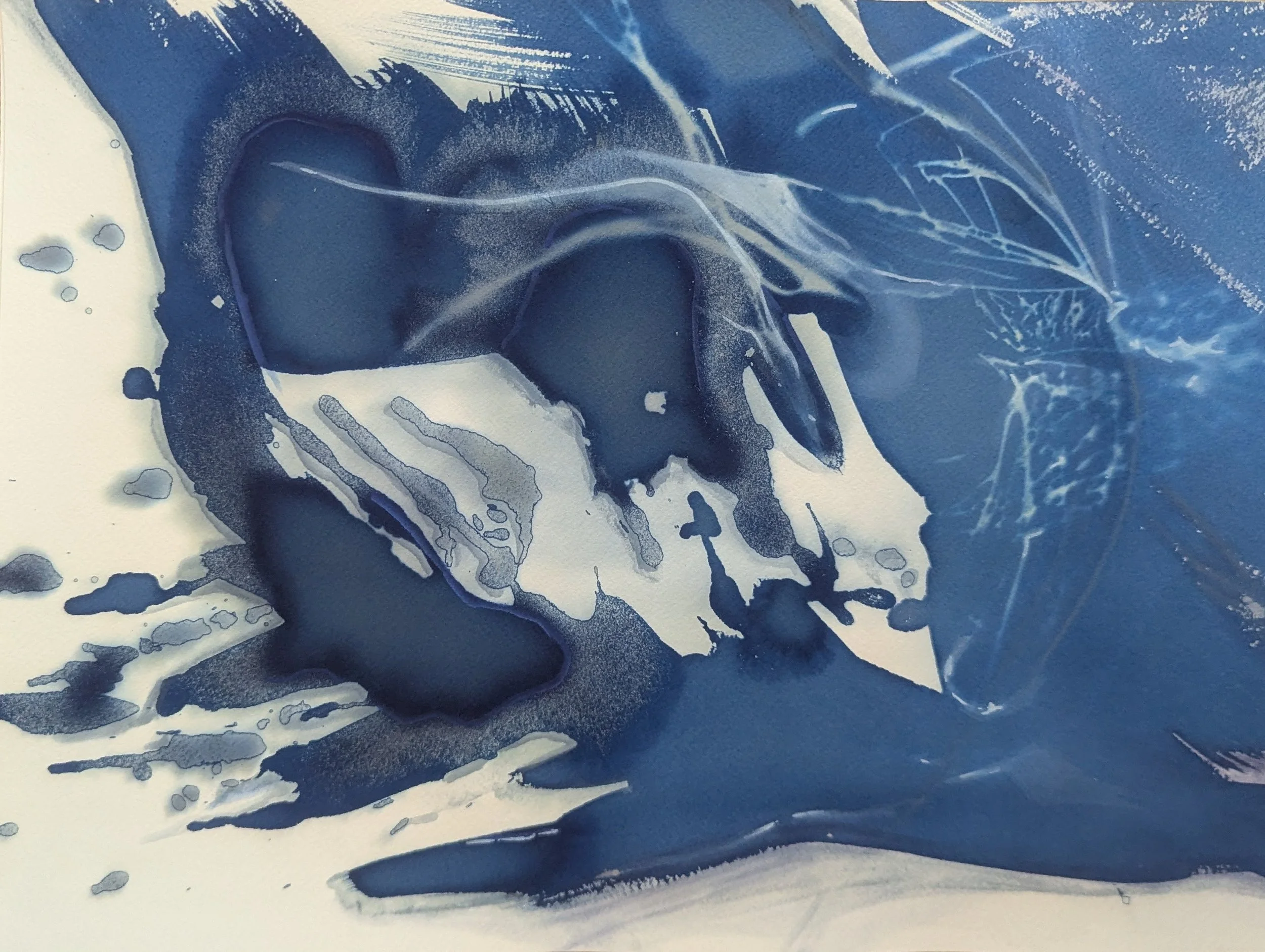 Pull, 2026 / cyanotype & acrylic on paper / 16 x 12 inches / $150 framed
