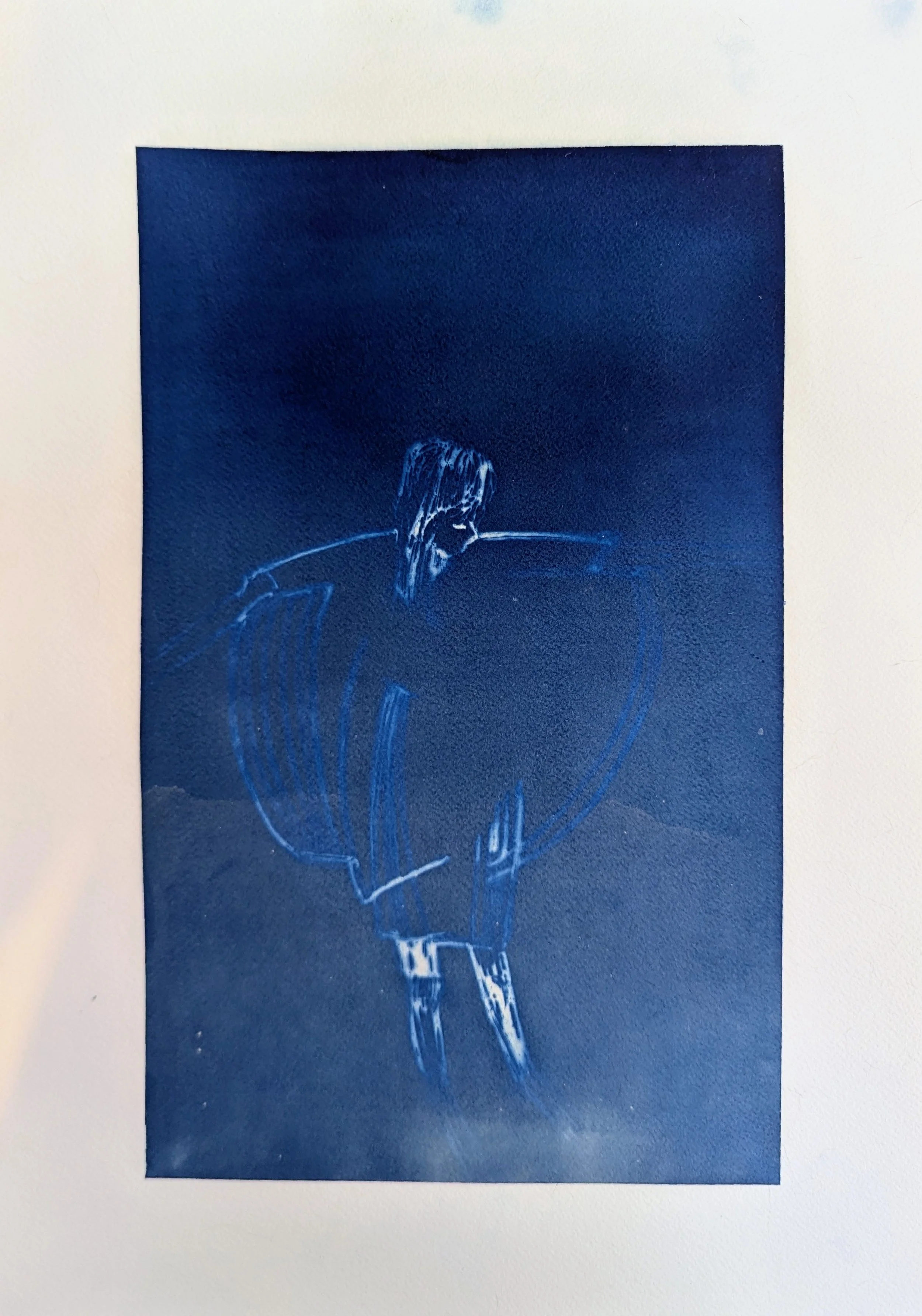 Moment, 2026 / cyanotype on paper / 16 x 12 inches / $100 framed