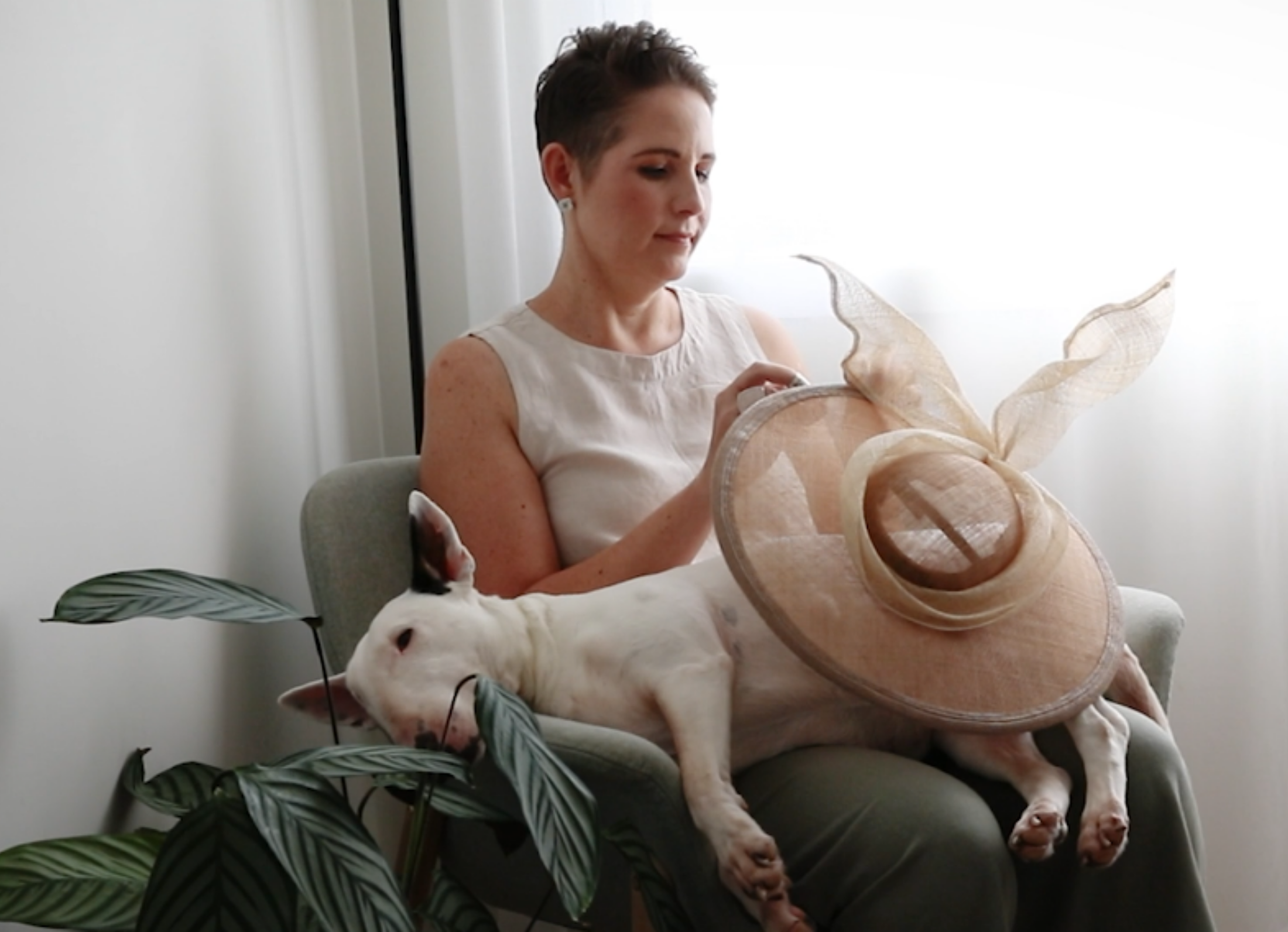 Mimi, a white Bull Terrier, resting across Anel Heyman’s lap in the studio while millinery work takes shape.
