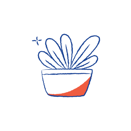 Health & Wellness