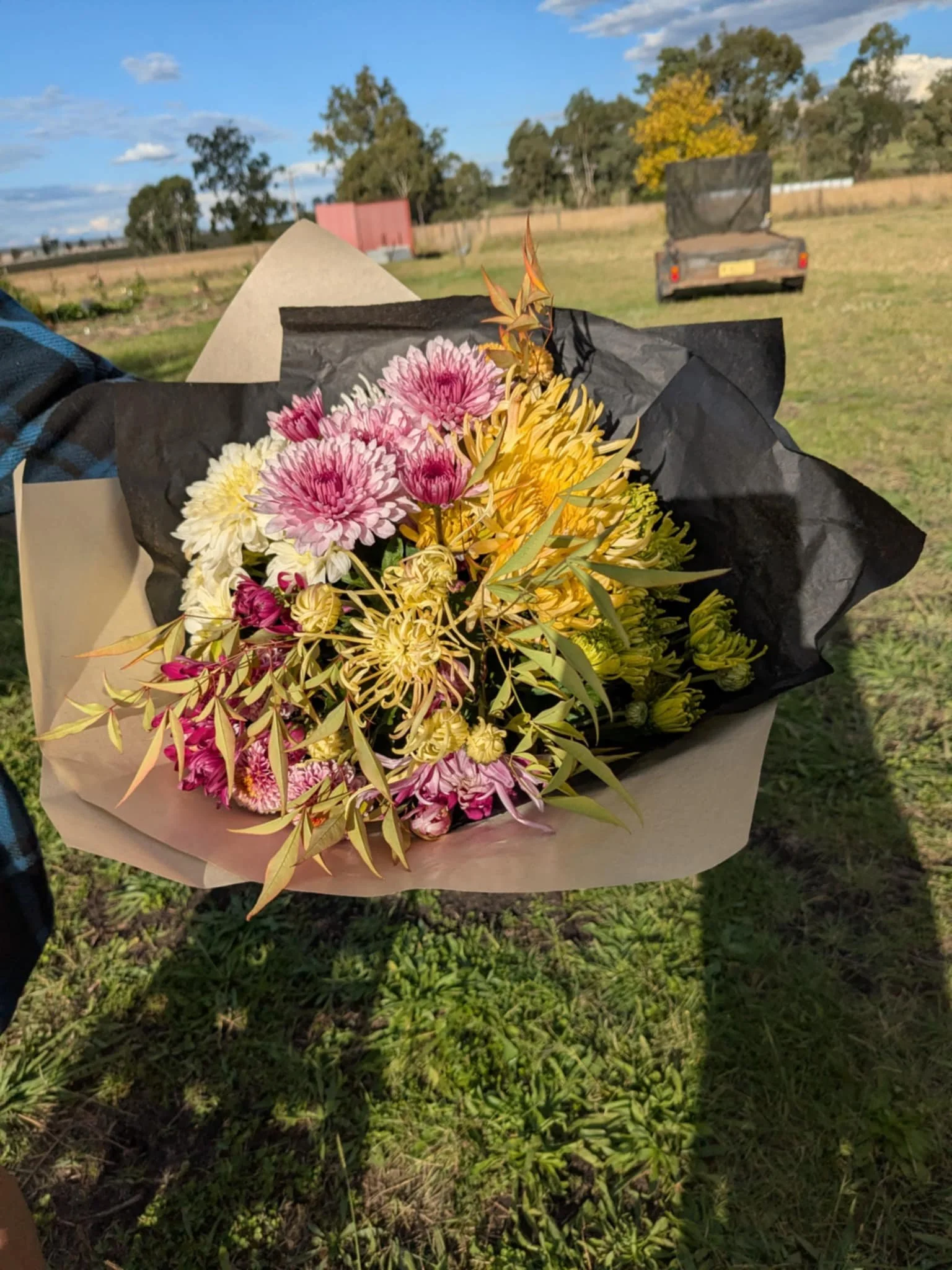 A bouquet of pink, yellow, and white flowers wrapped in beige and black paper, being held outdoors in a grassy area, with trees, a pink building, and a trailer in the background.