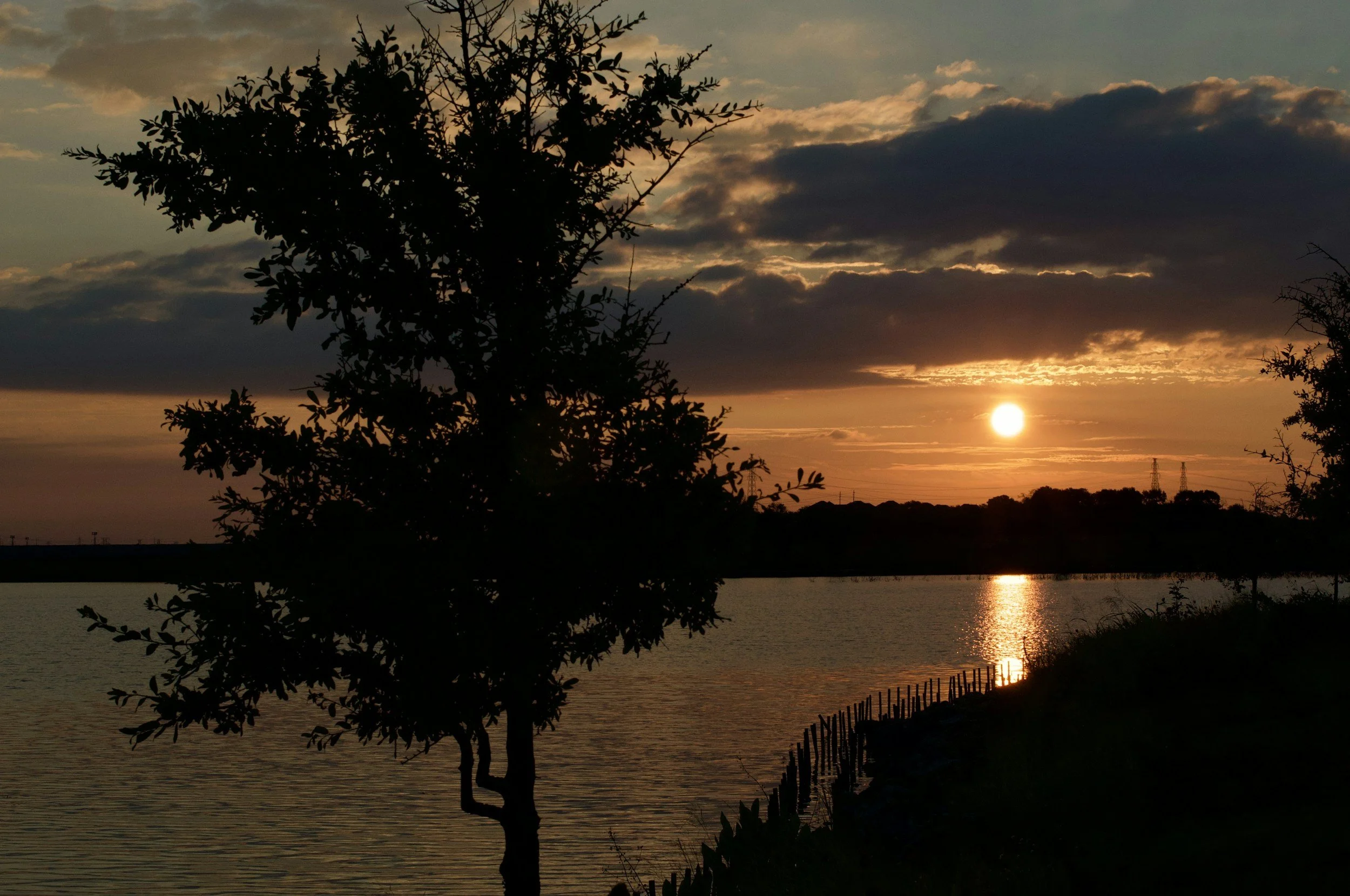 the sun sets over a lake, idyllic view with tree in foreground