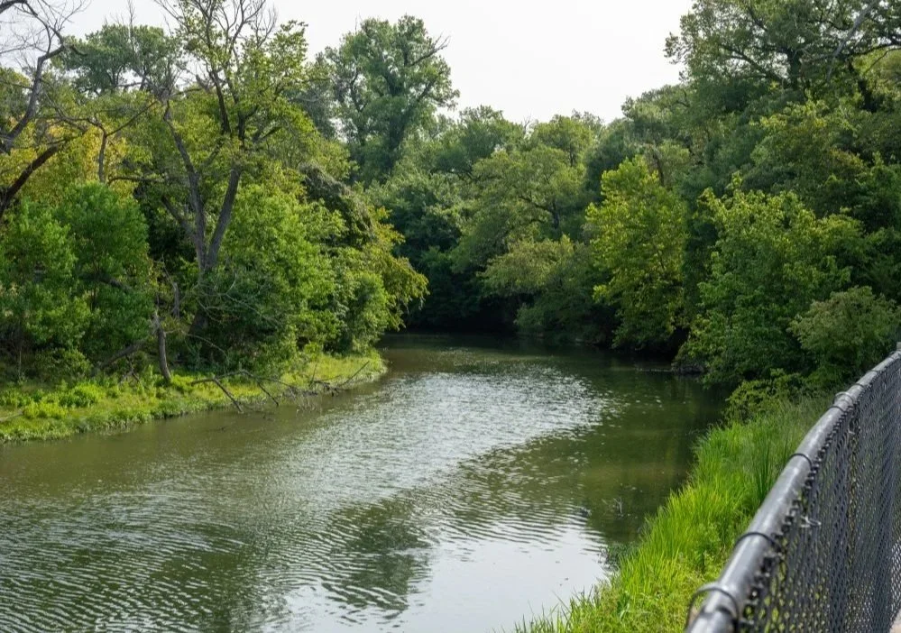 A peaceful river flowing through a lush green forest with a metal fence on the right side.