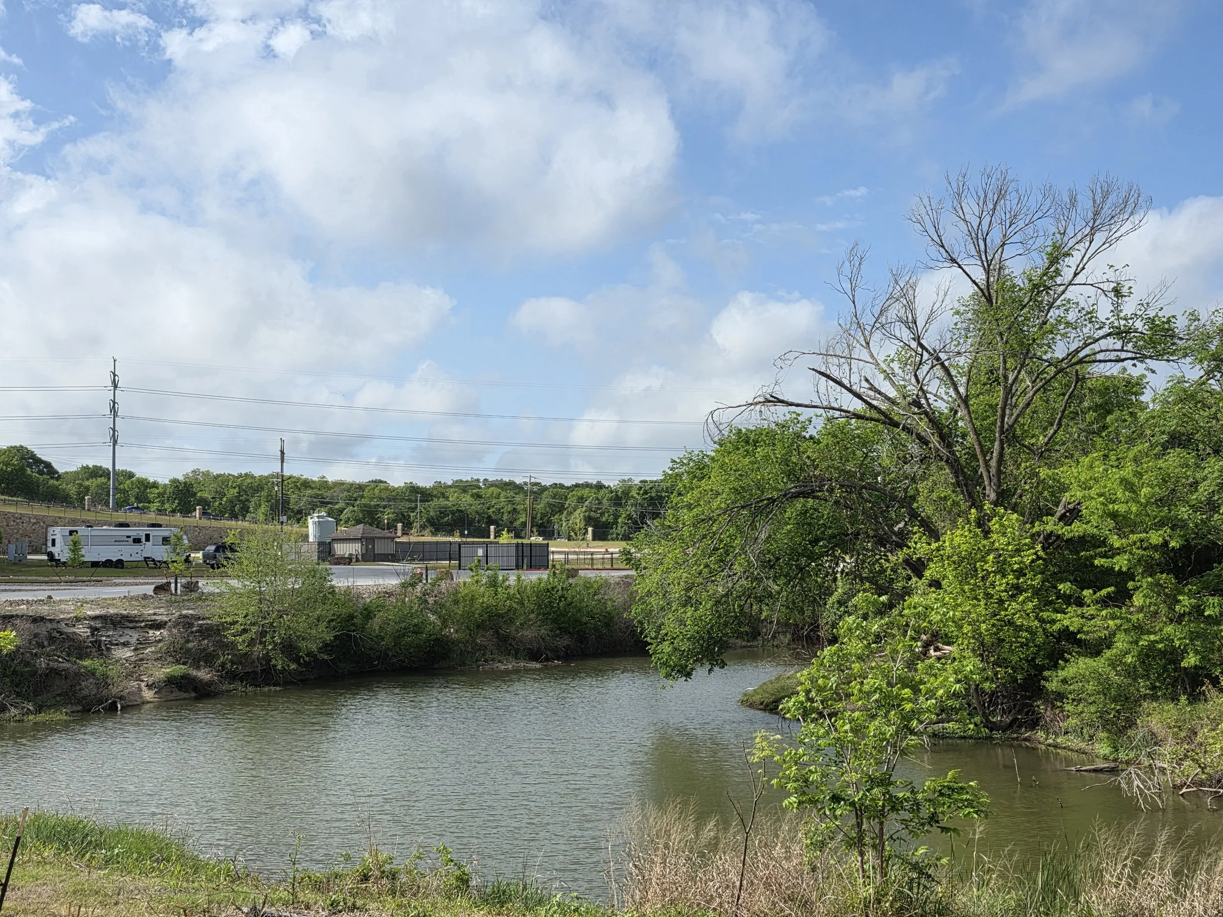 River and green grass and trees. Sunny day.