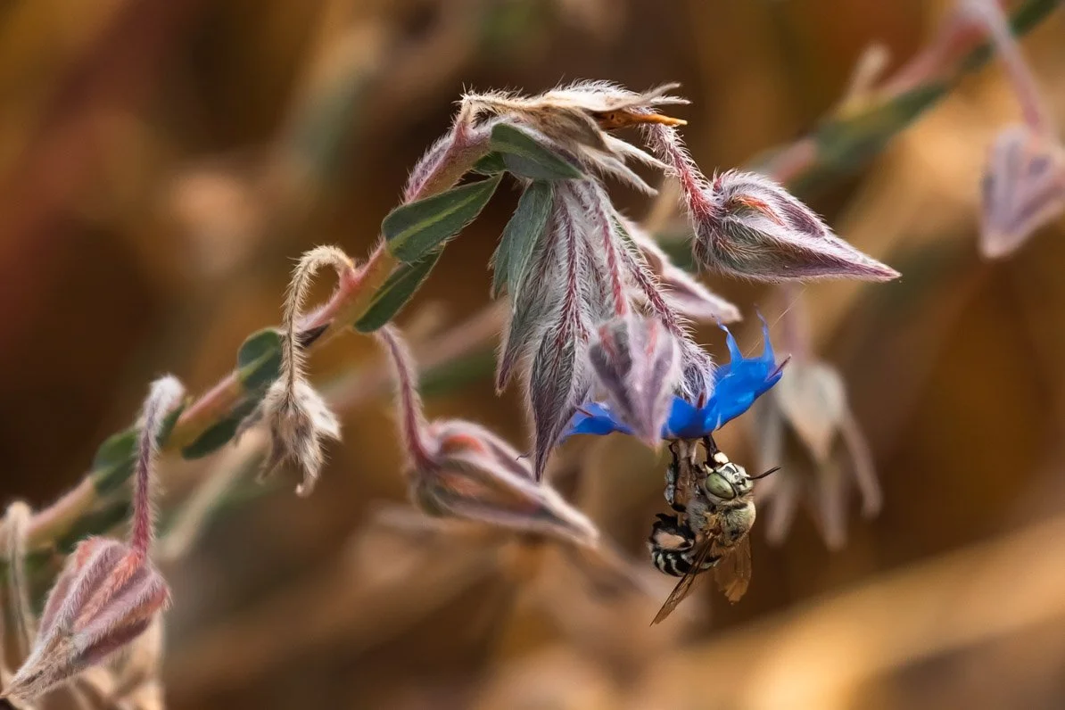 Western Australia-17.jpg