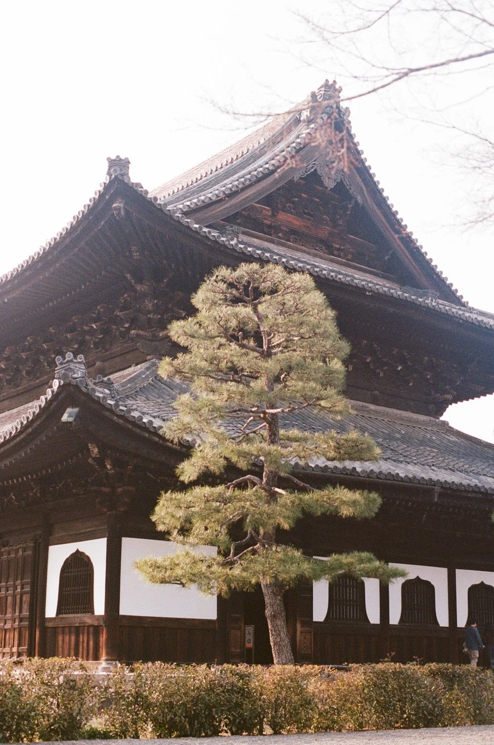 Japan-21.jpg