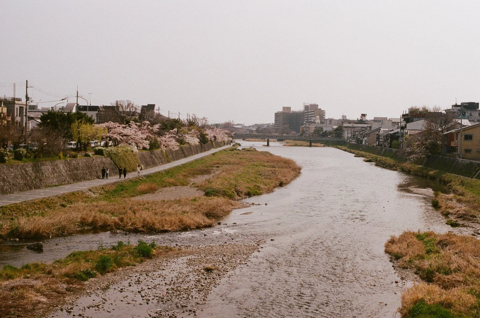 Japan-26.jpg